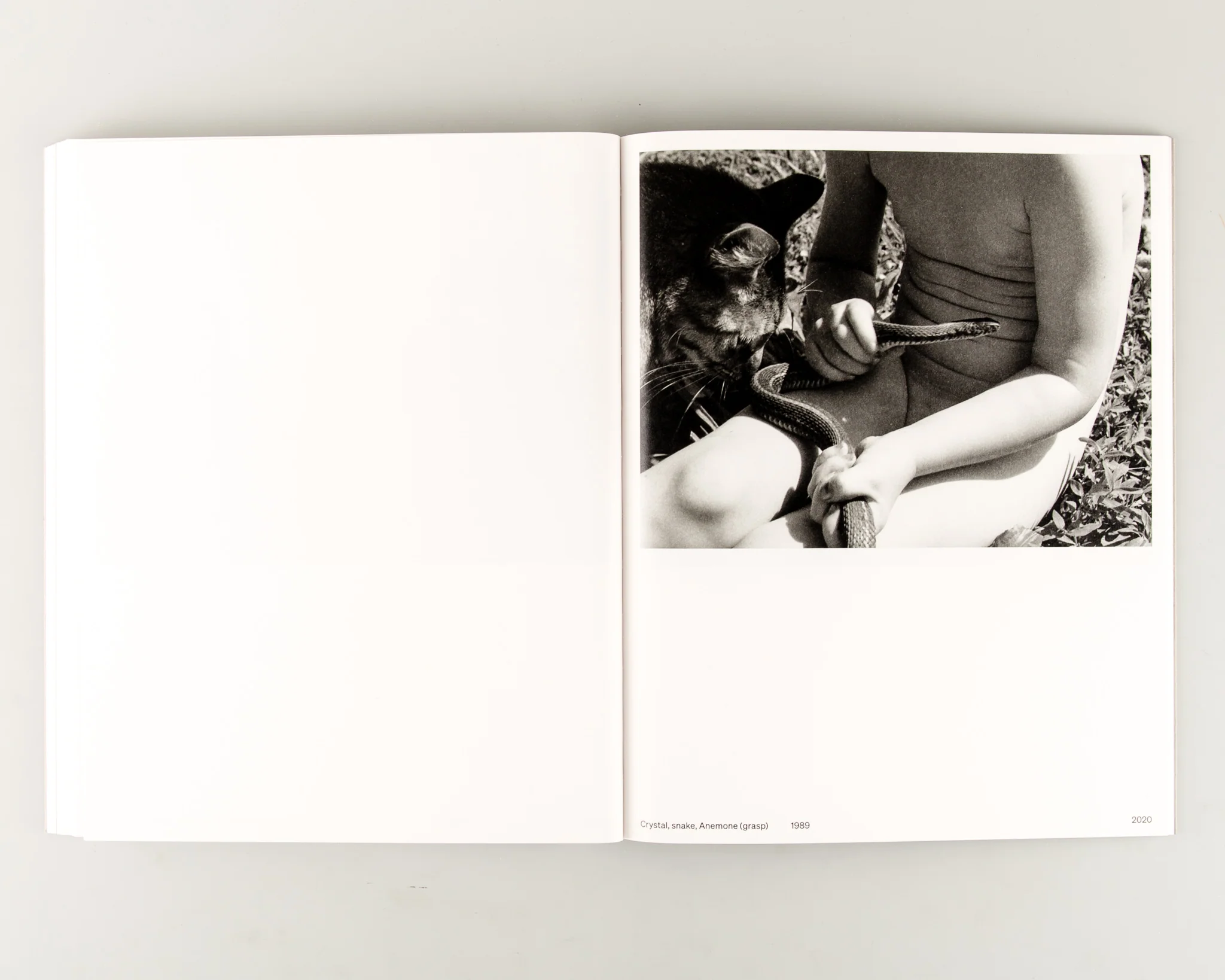 The Model Family - Image 12