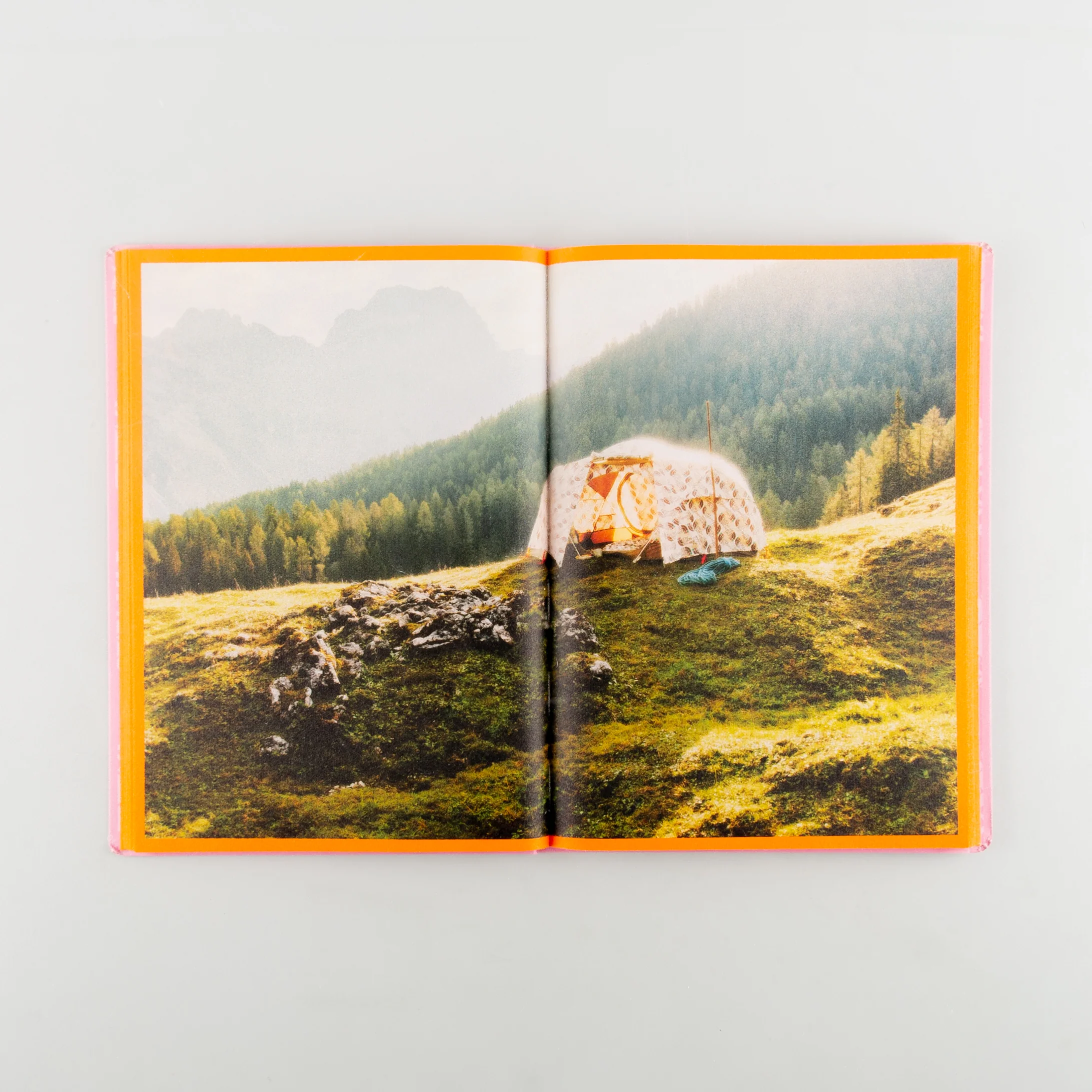 The North Face X Gucci (Japan) - Image 7
