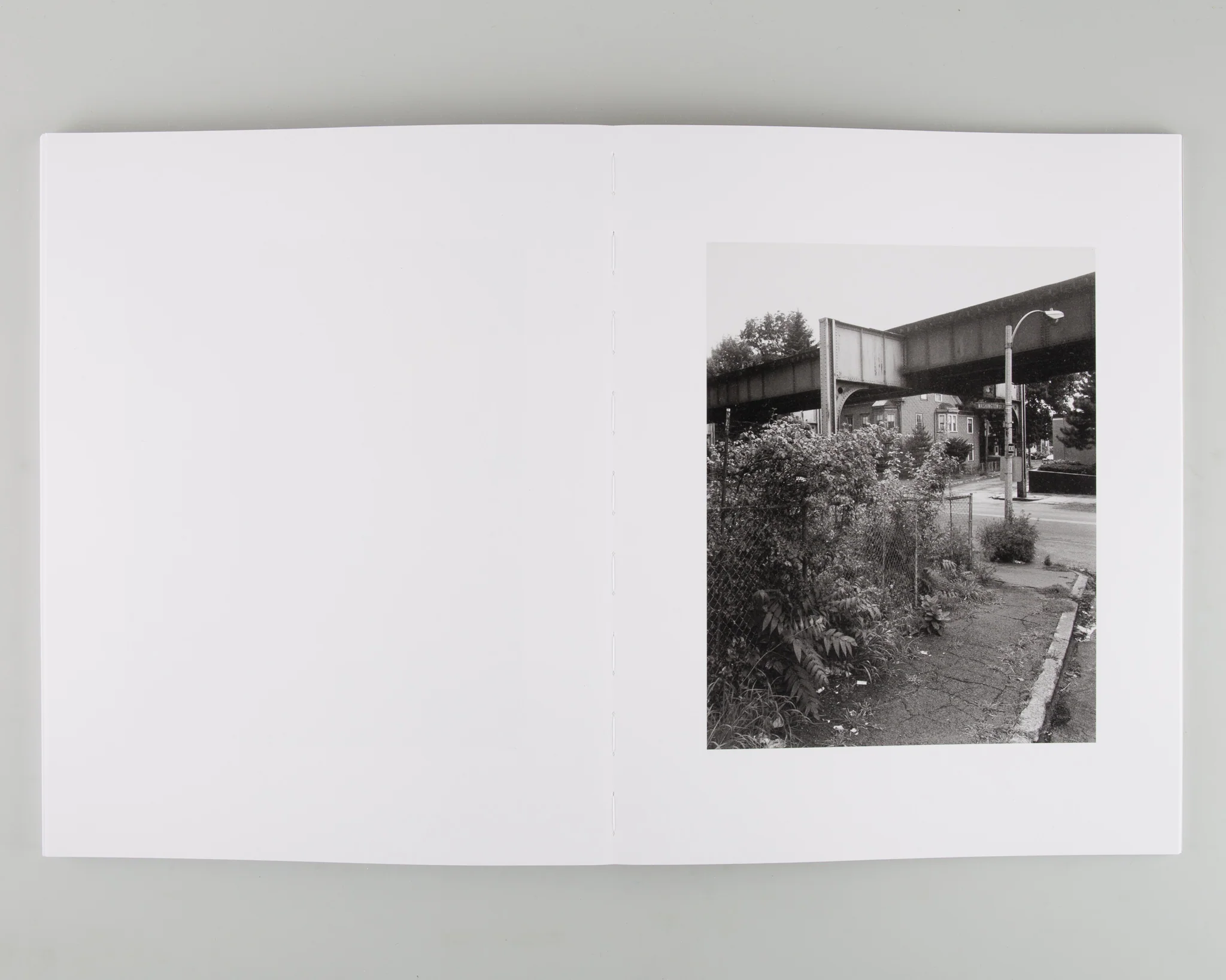 The Orange Line - Image 7