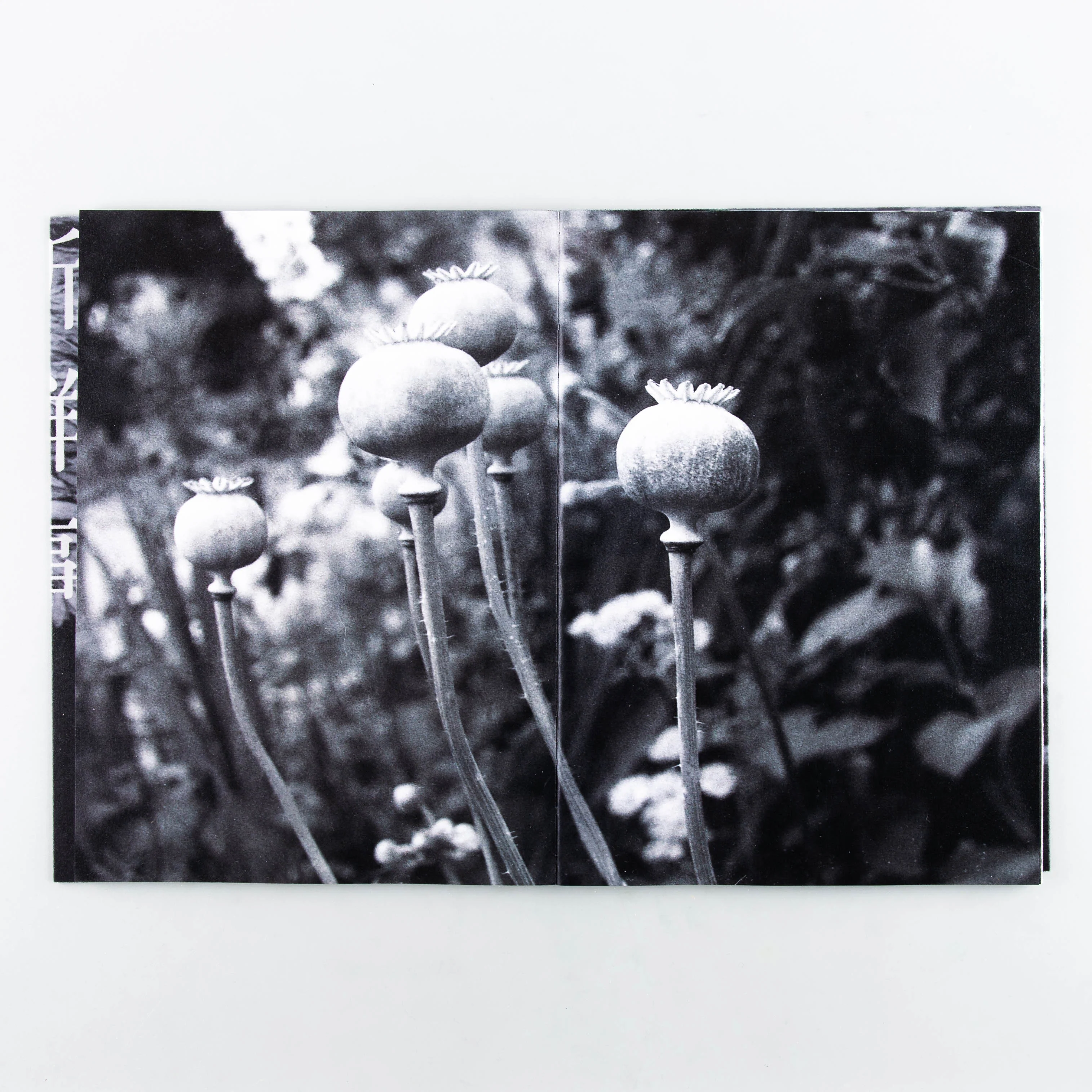 There is nothing old under the sun (SIGNED) - Image 5