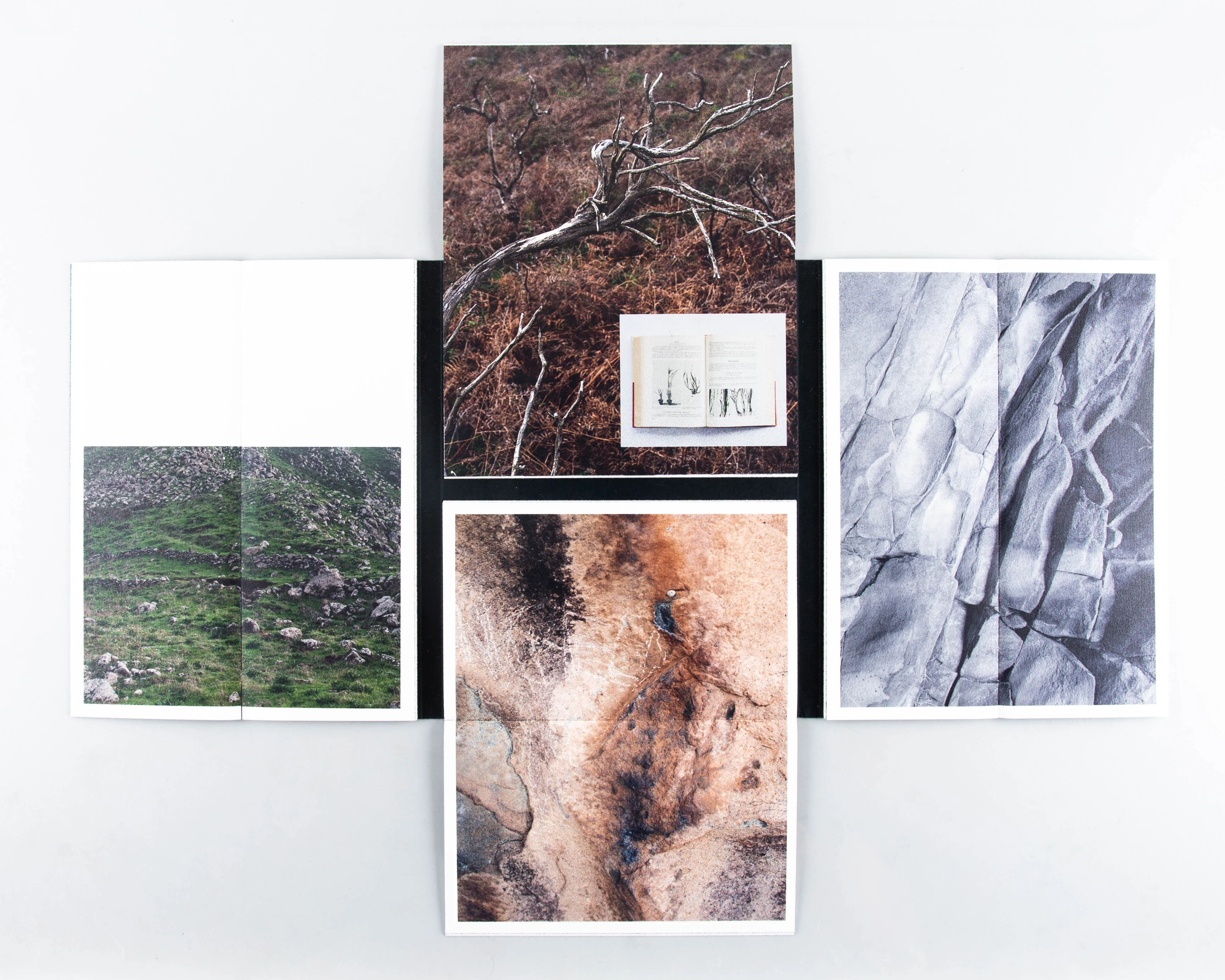 Thinking like and Island - Image 4