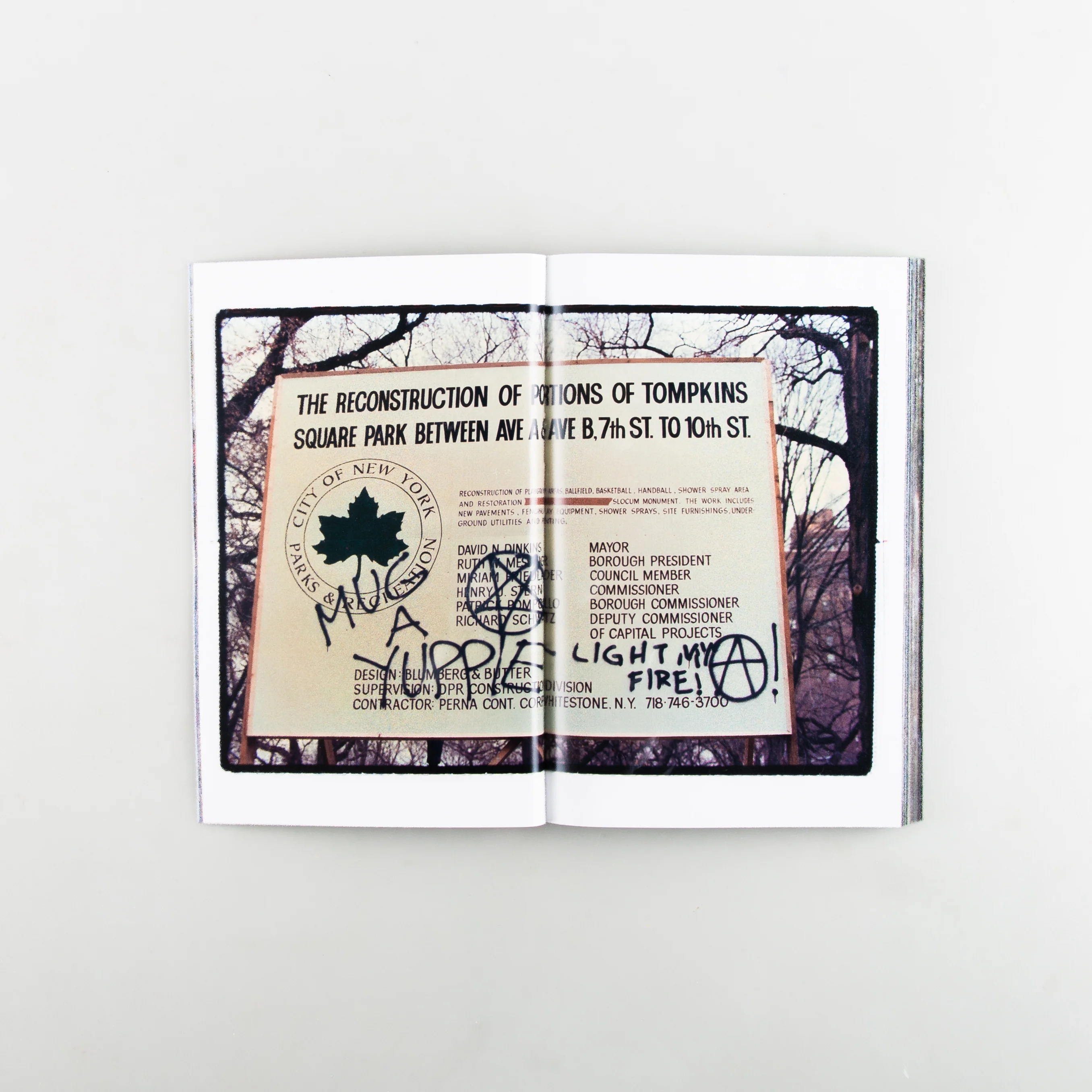 Tompkins Square Park: Forty Years - Image 4