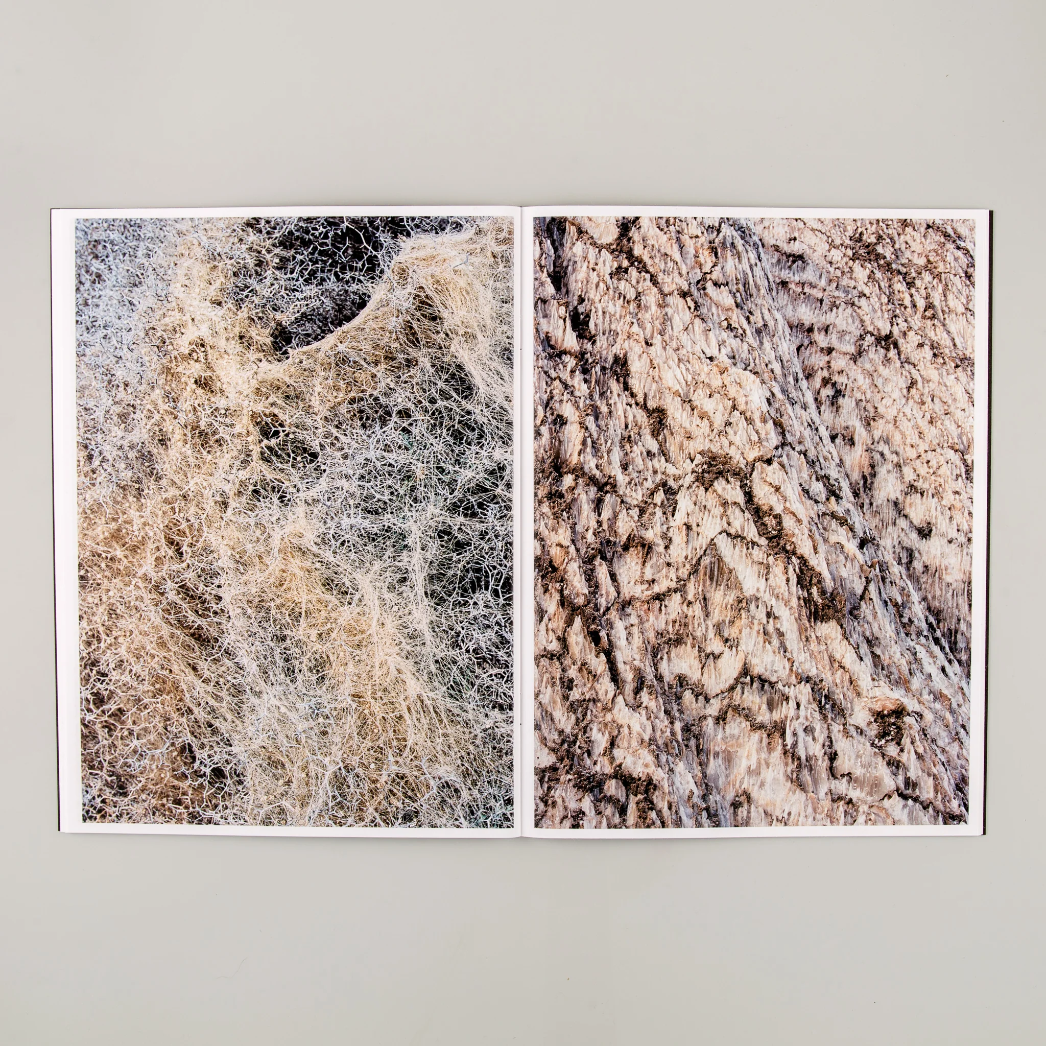 Topographies II - Image 5