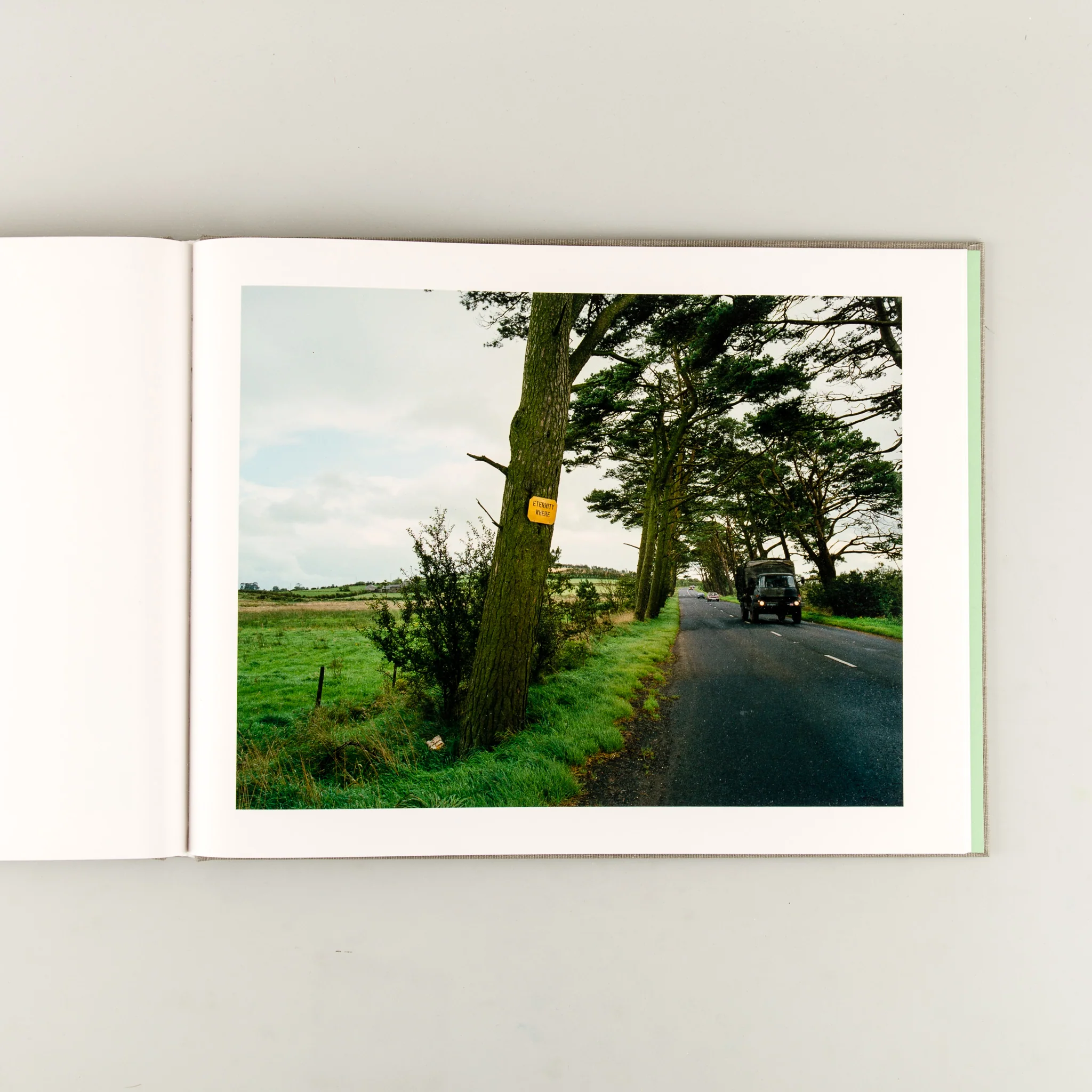 Troubled Land (Signed) - Image 10