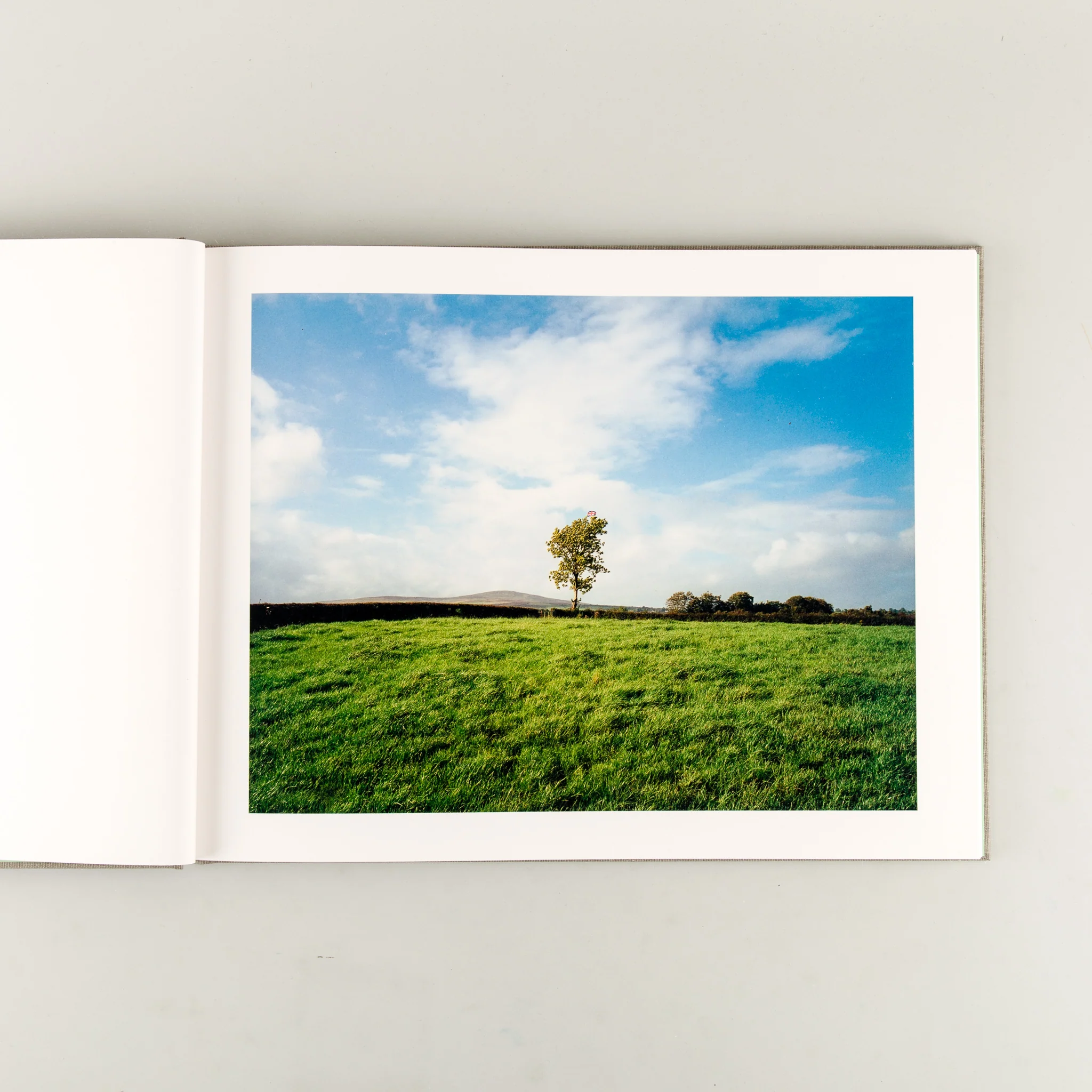 Troubled Land (Signed) - Image 2