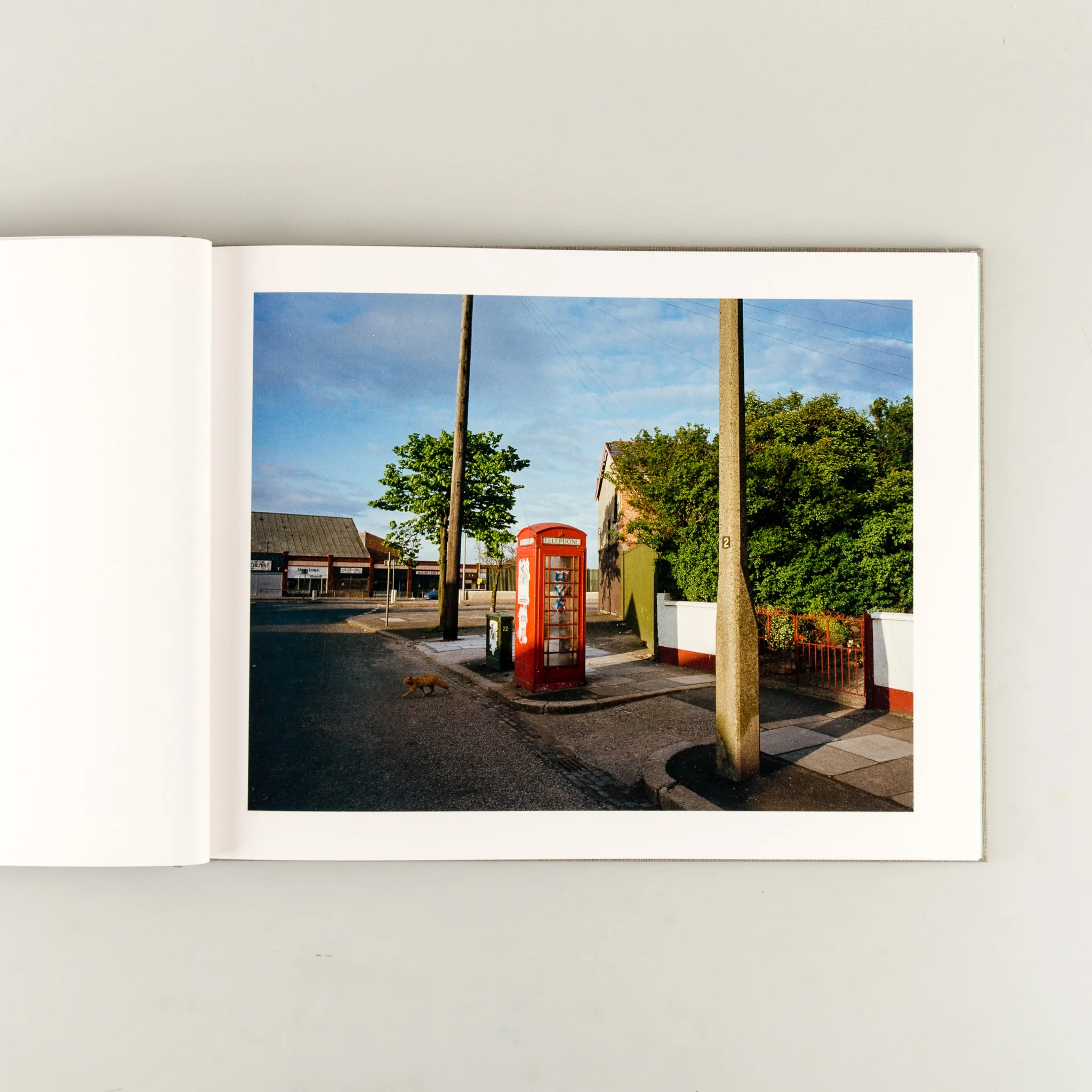 Troubled Land (Signed) - Image 3