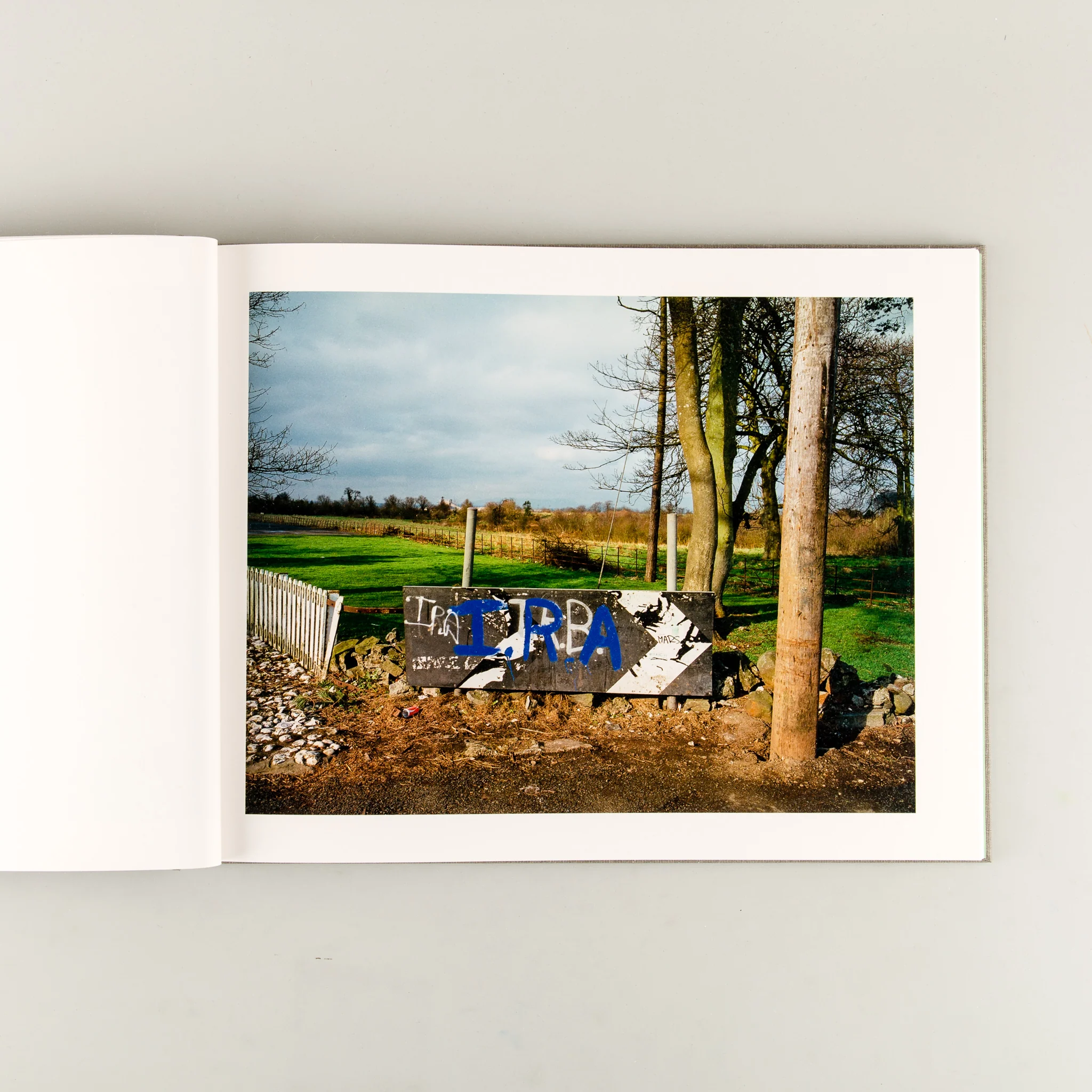Troubled Land (Signed) - Image 4