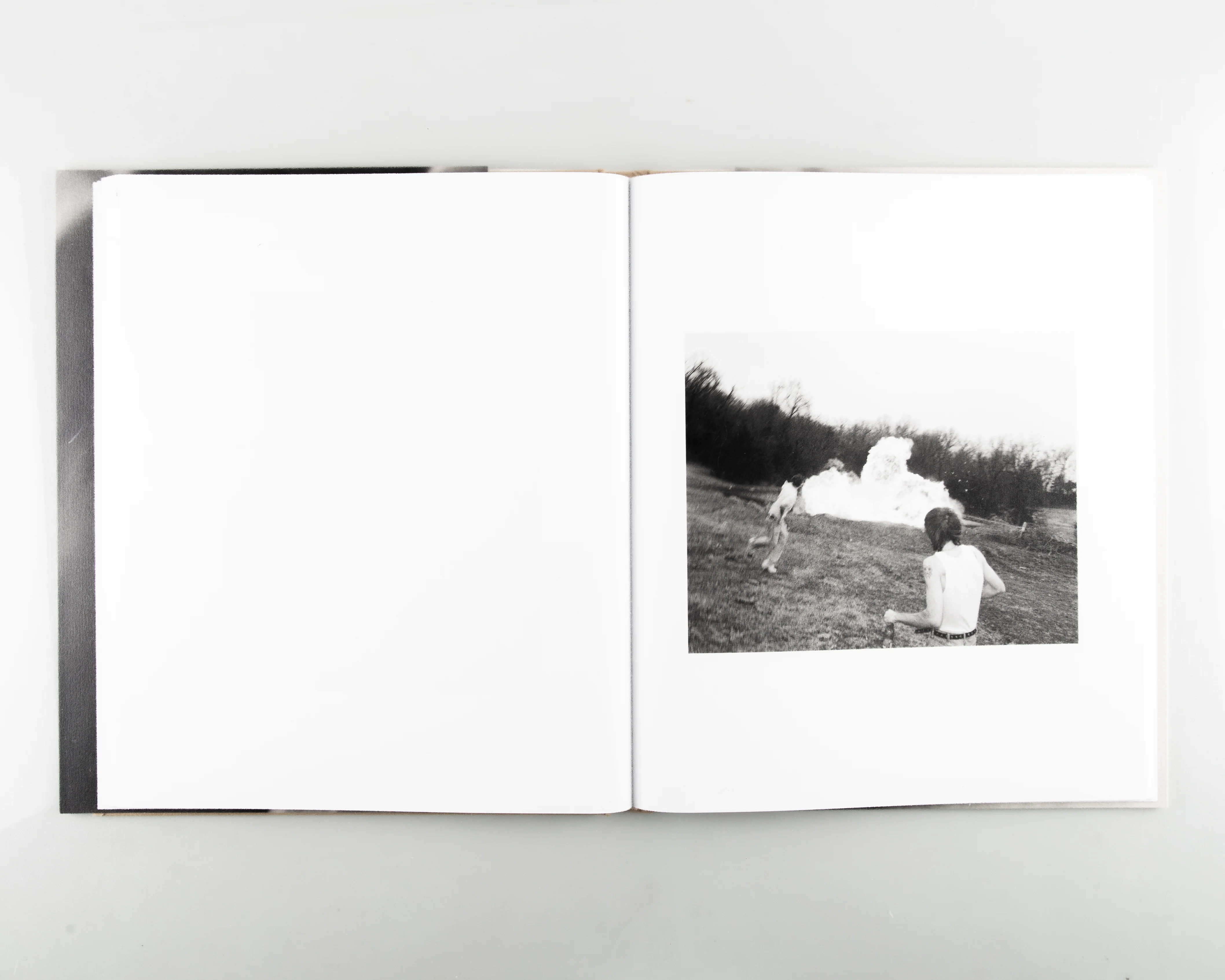 Twelve Acres - Image 2