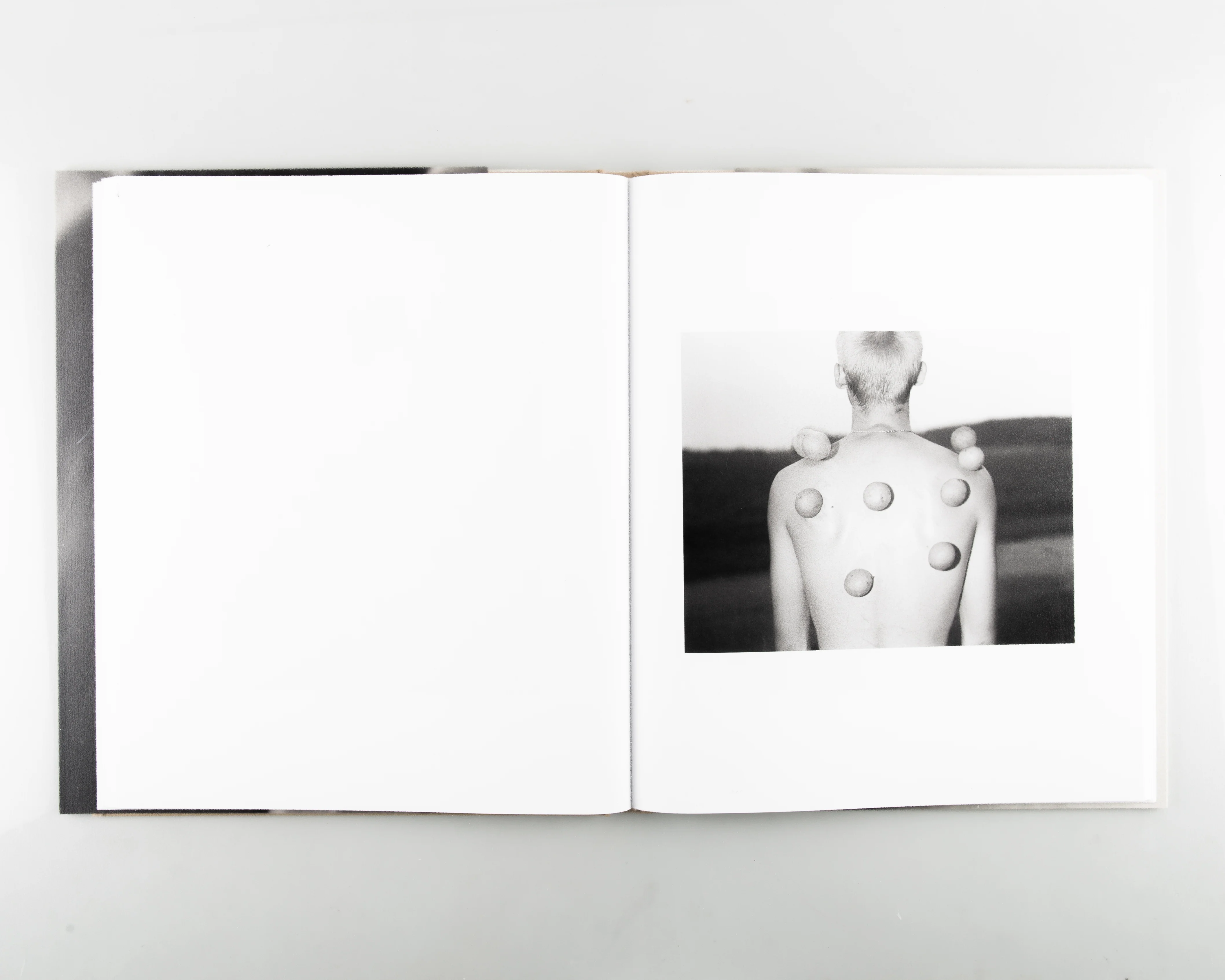 Twelve Acres - Image 3