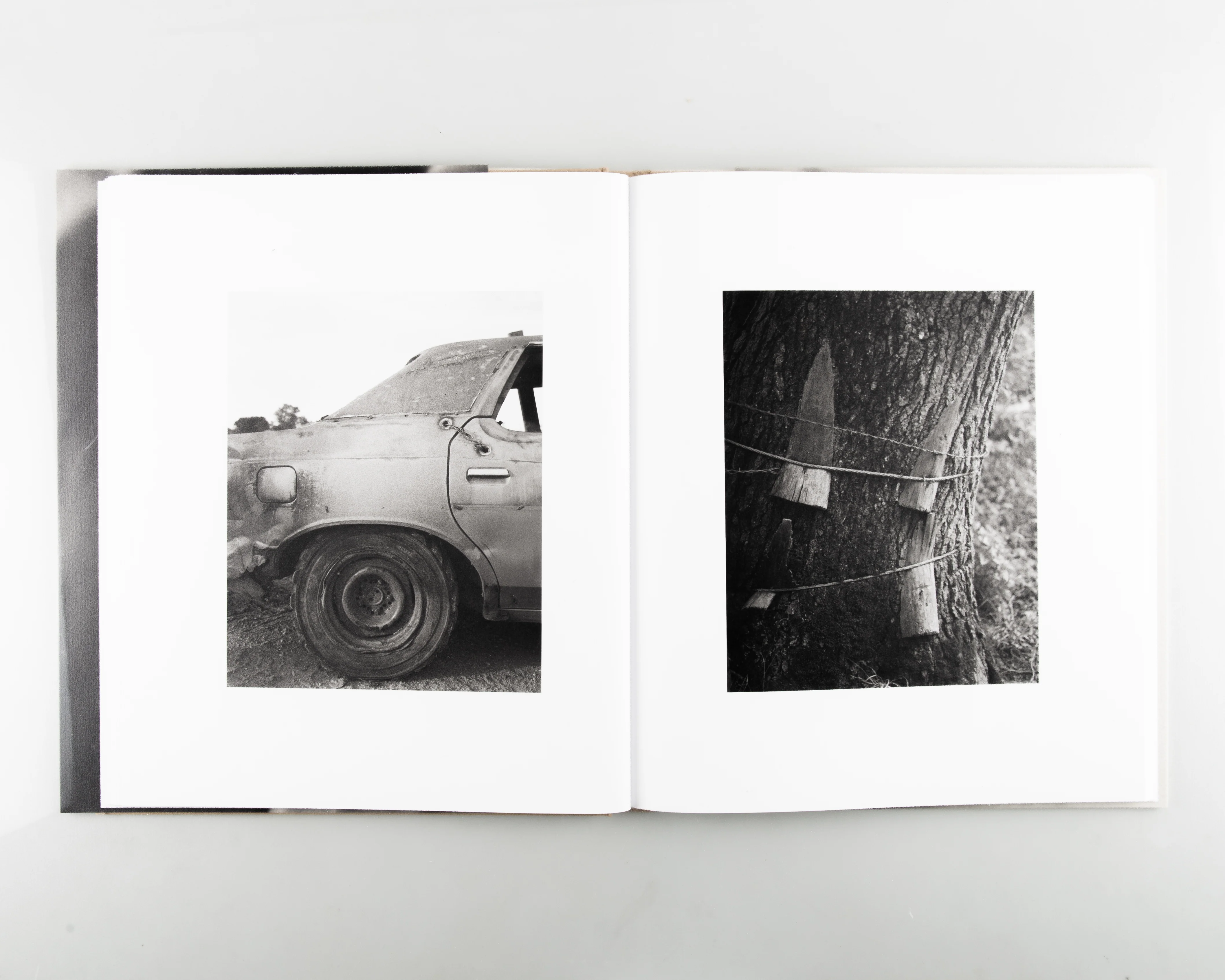 Twelve Acres - Image 5