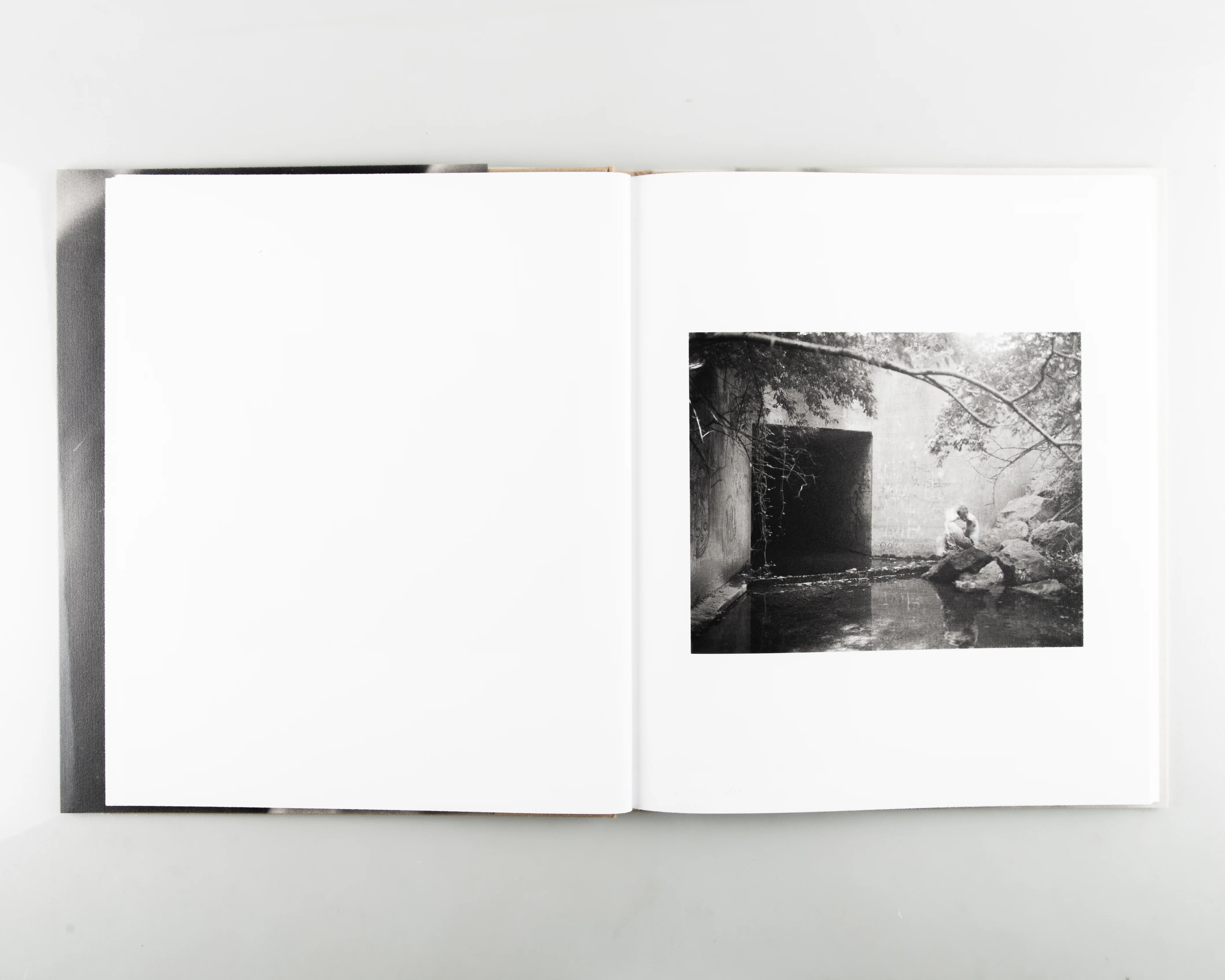 Twelve Acres - Image 7