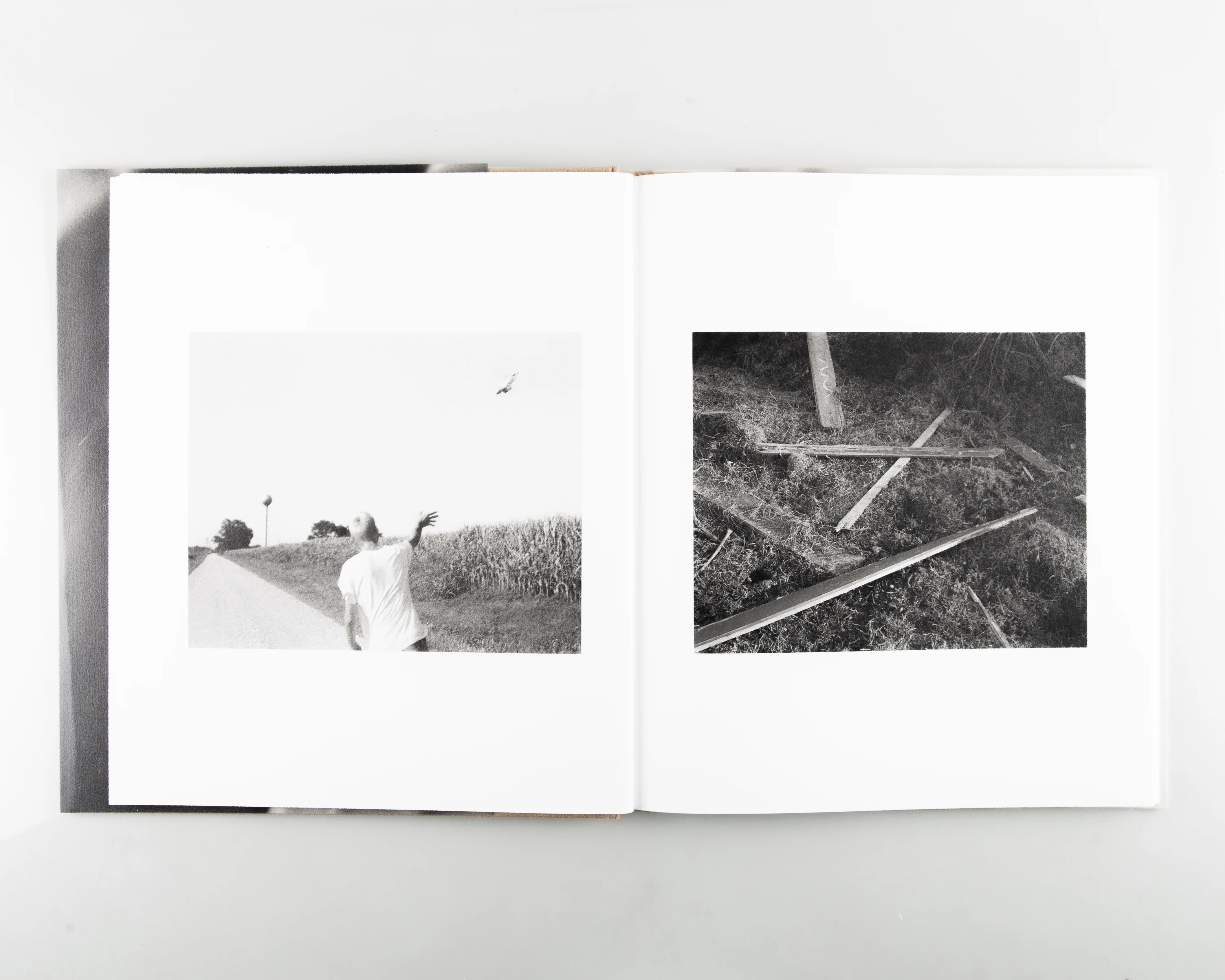 Twelve Acres - Image 8