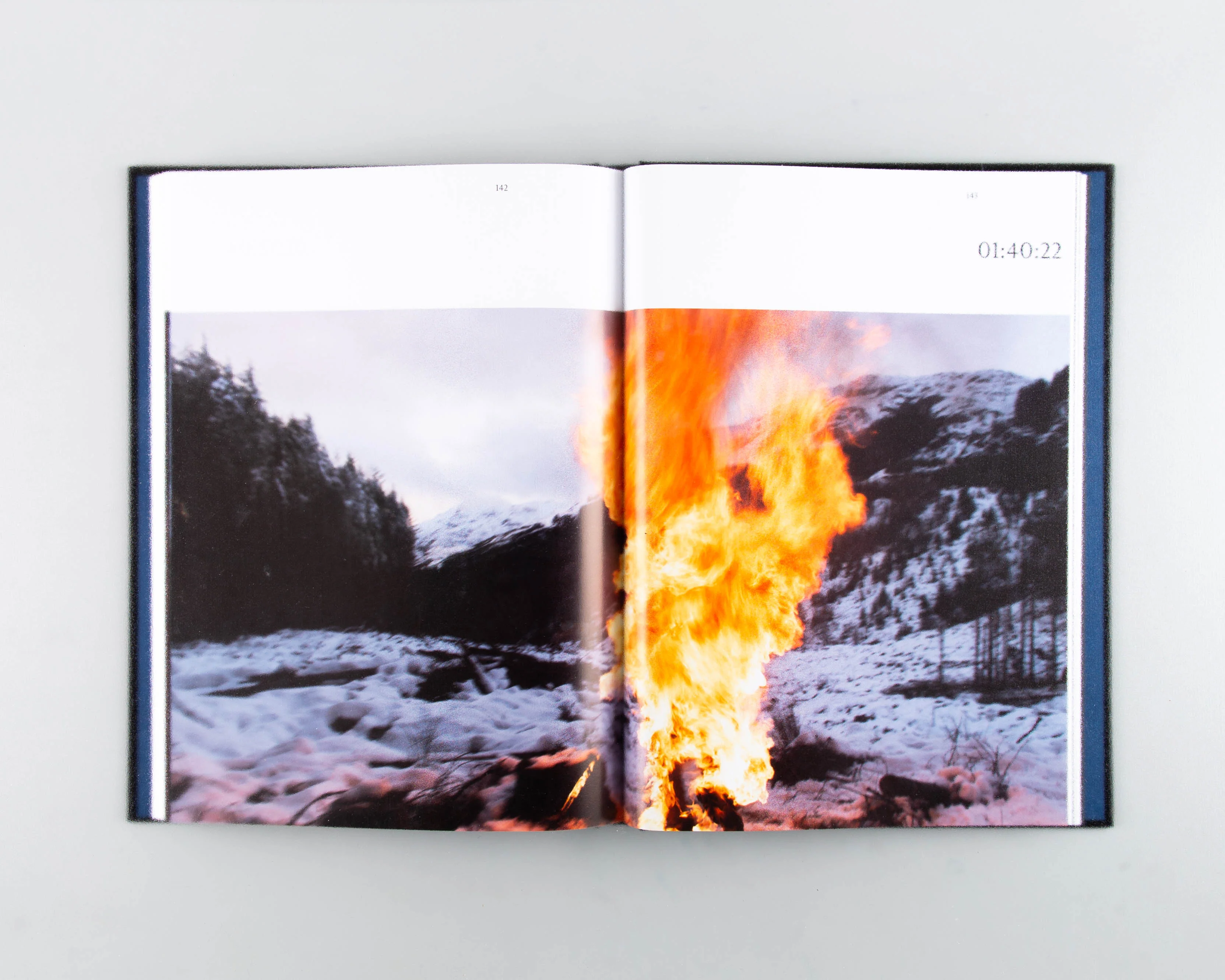 Under The Skin Screenplay Book - Image 2