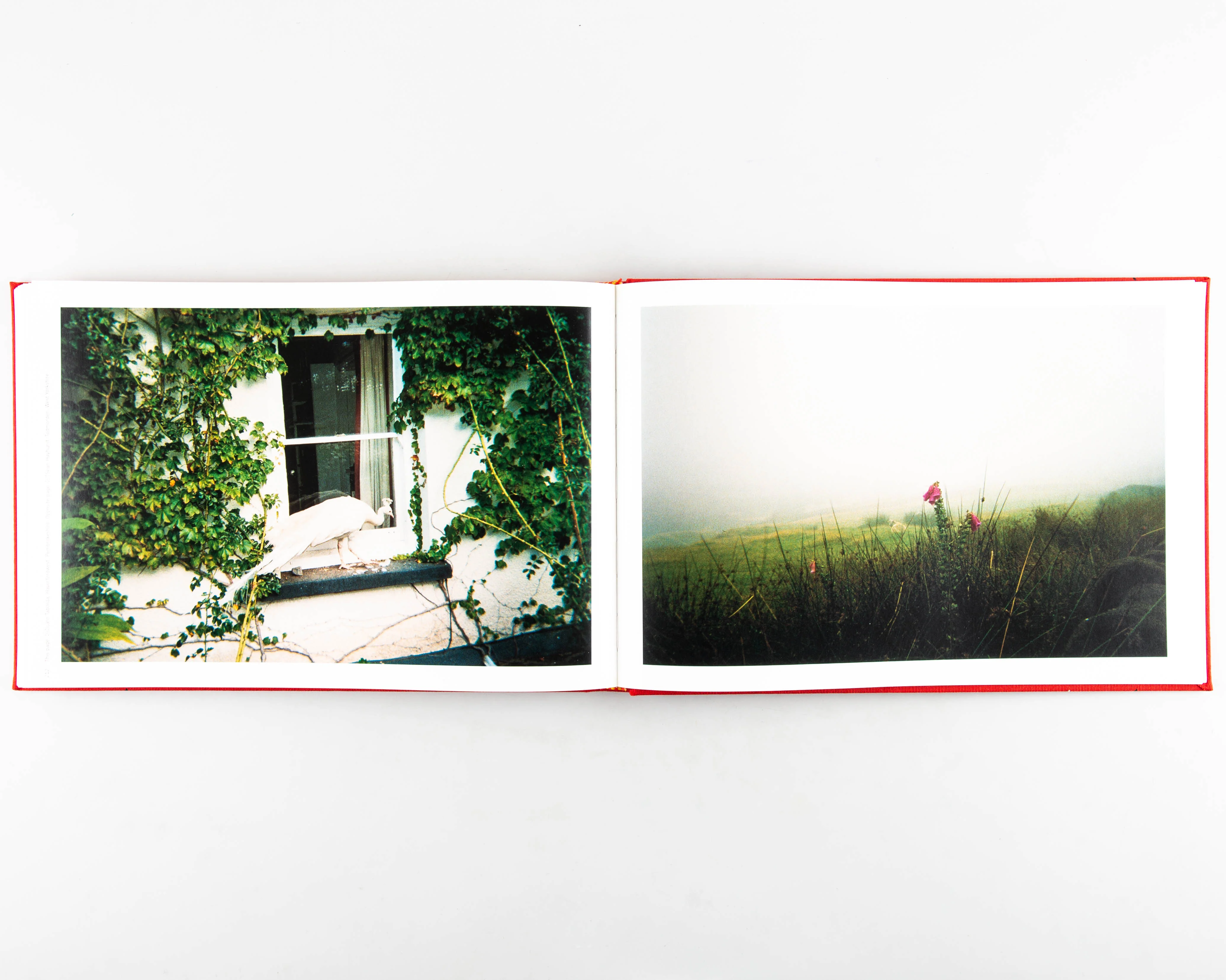 UNSEEN UK - Image 2