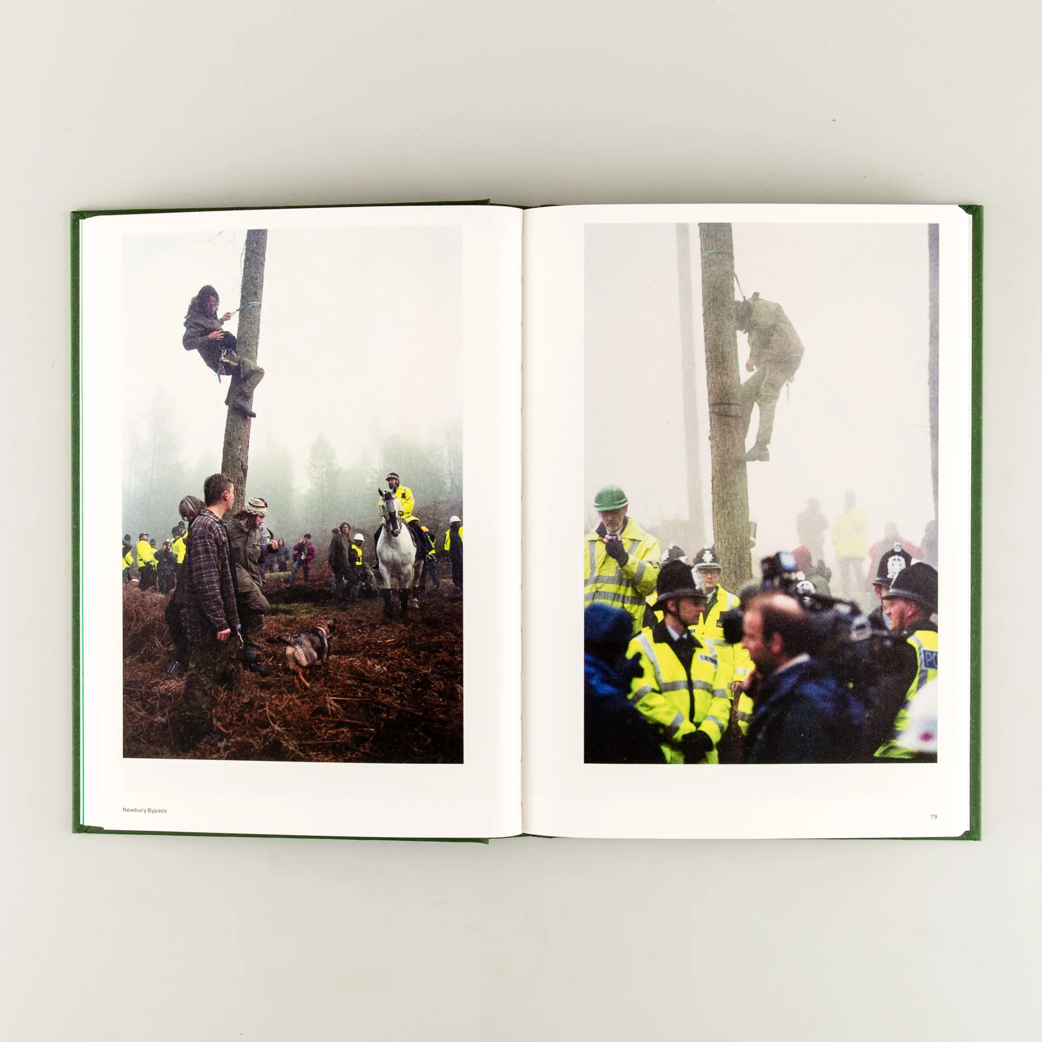 Until the Last Oak Falls - Image 4
