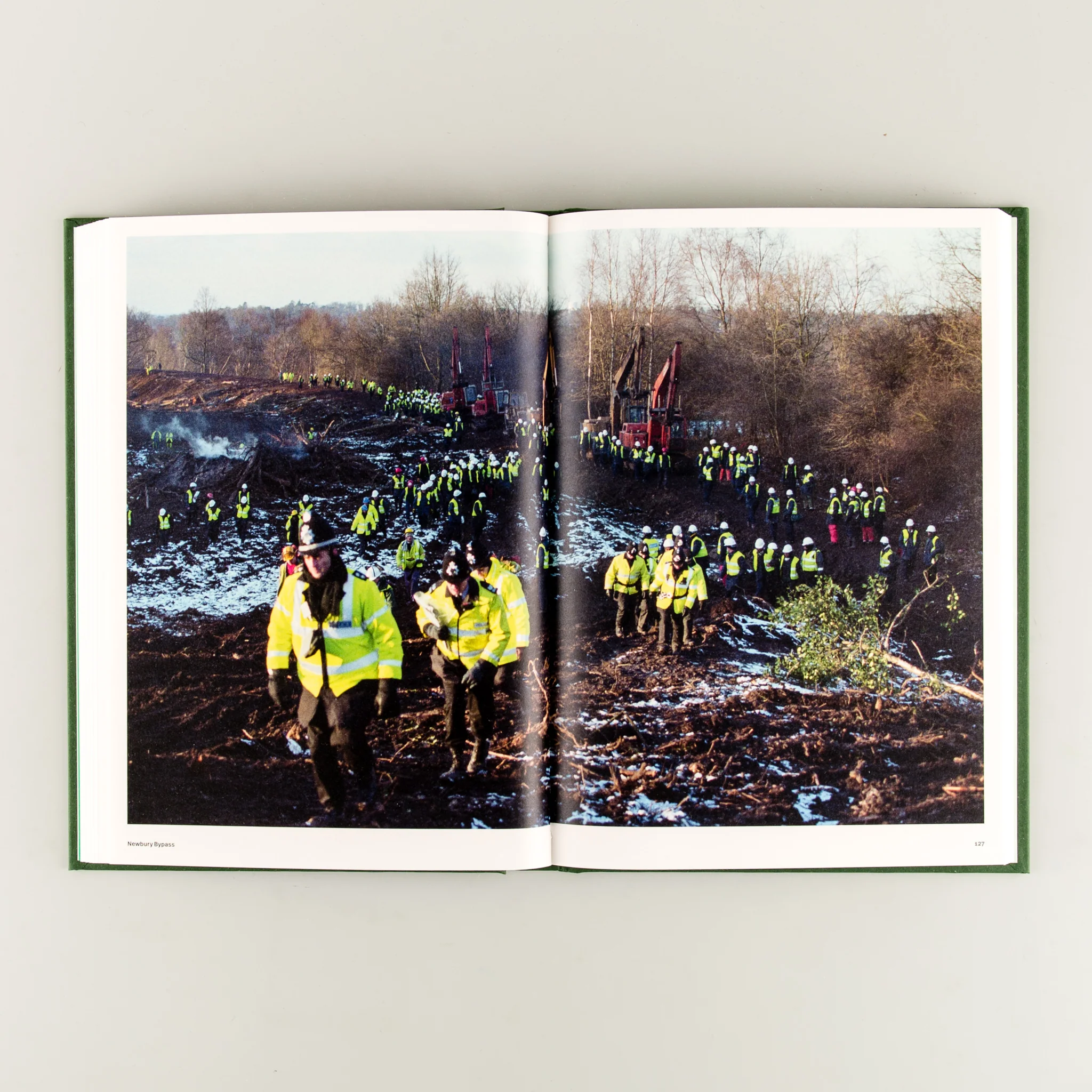 Until the Last Oak Falls - Image 6