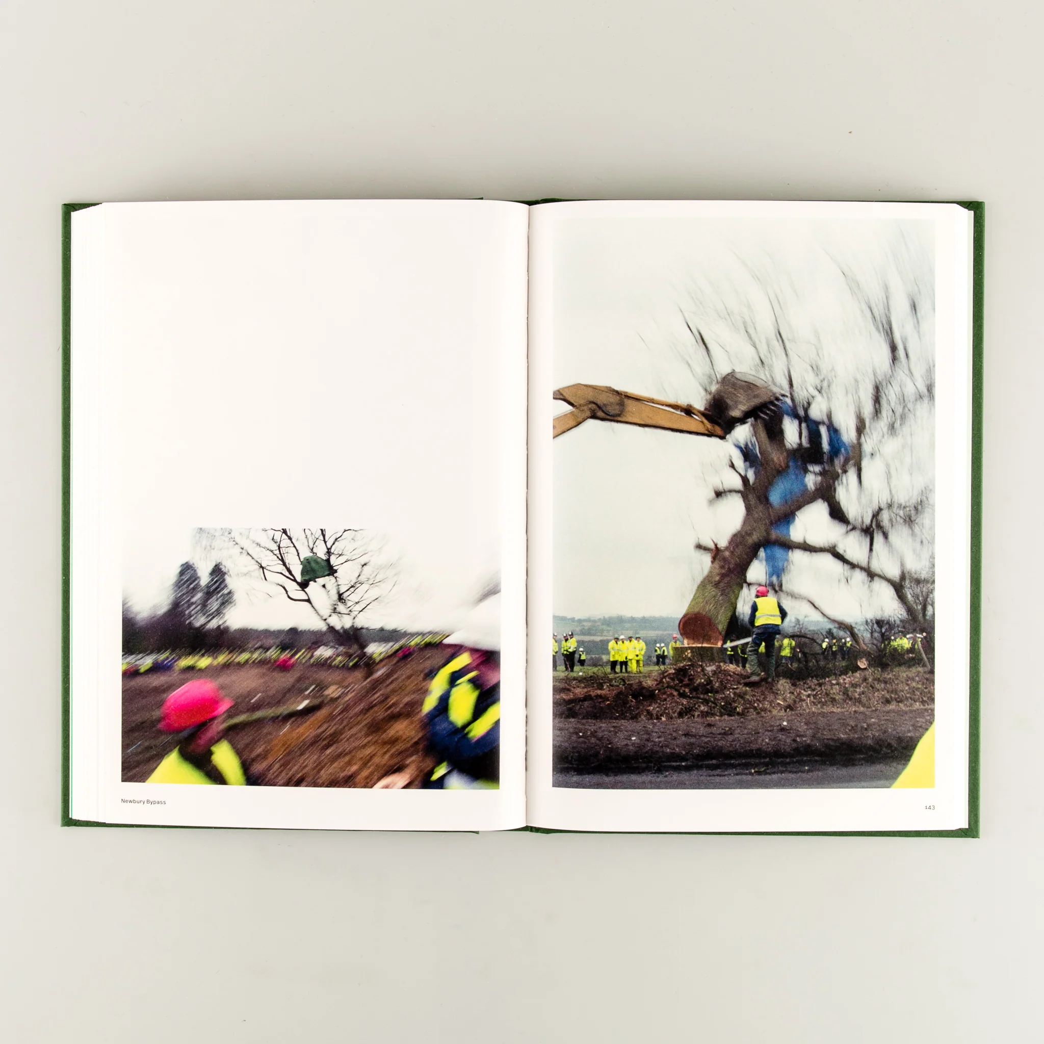 Until the Last Oak Falls - Image 7