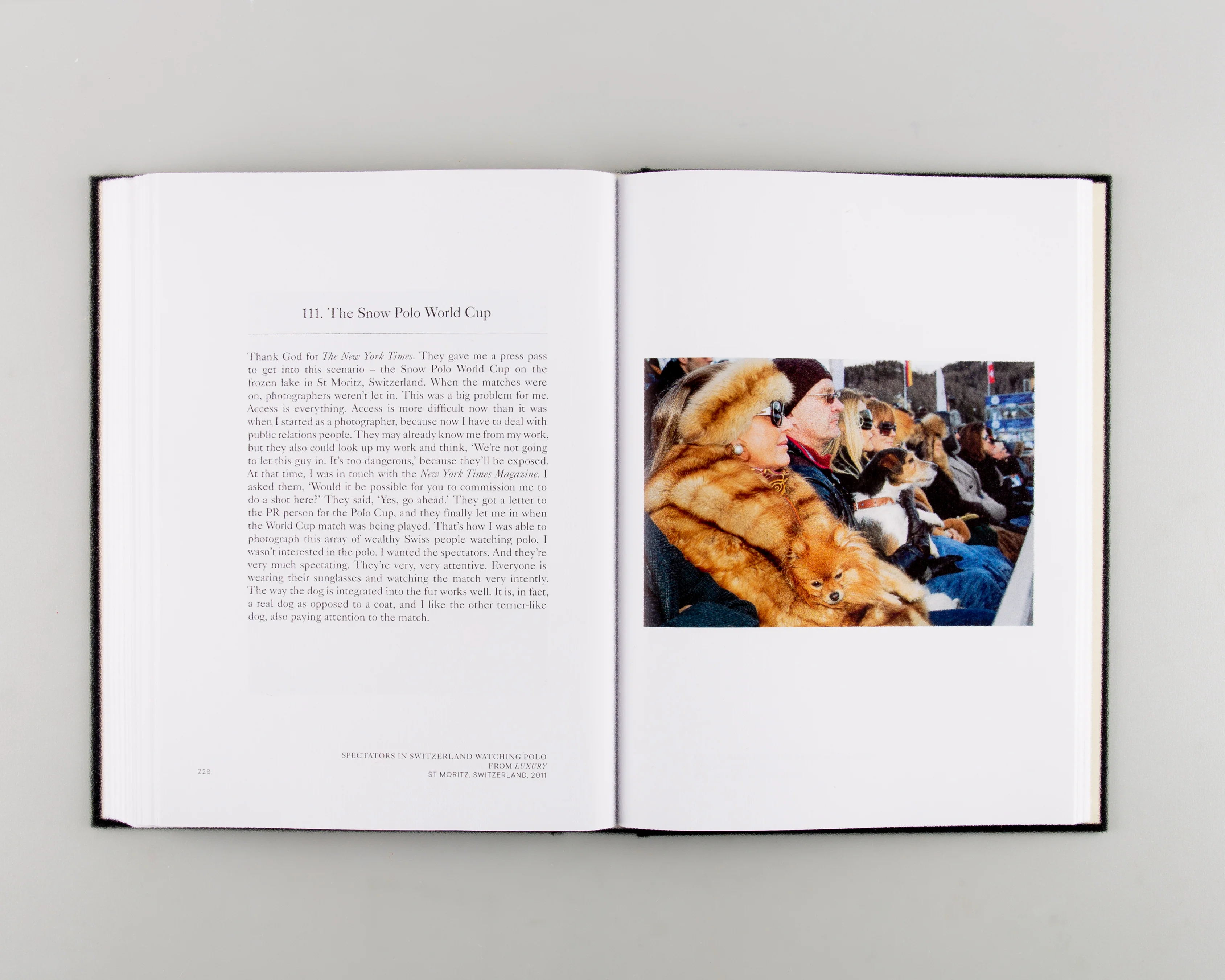 Utterly Lazy and Inattentive (SIGNED) - Image 3
