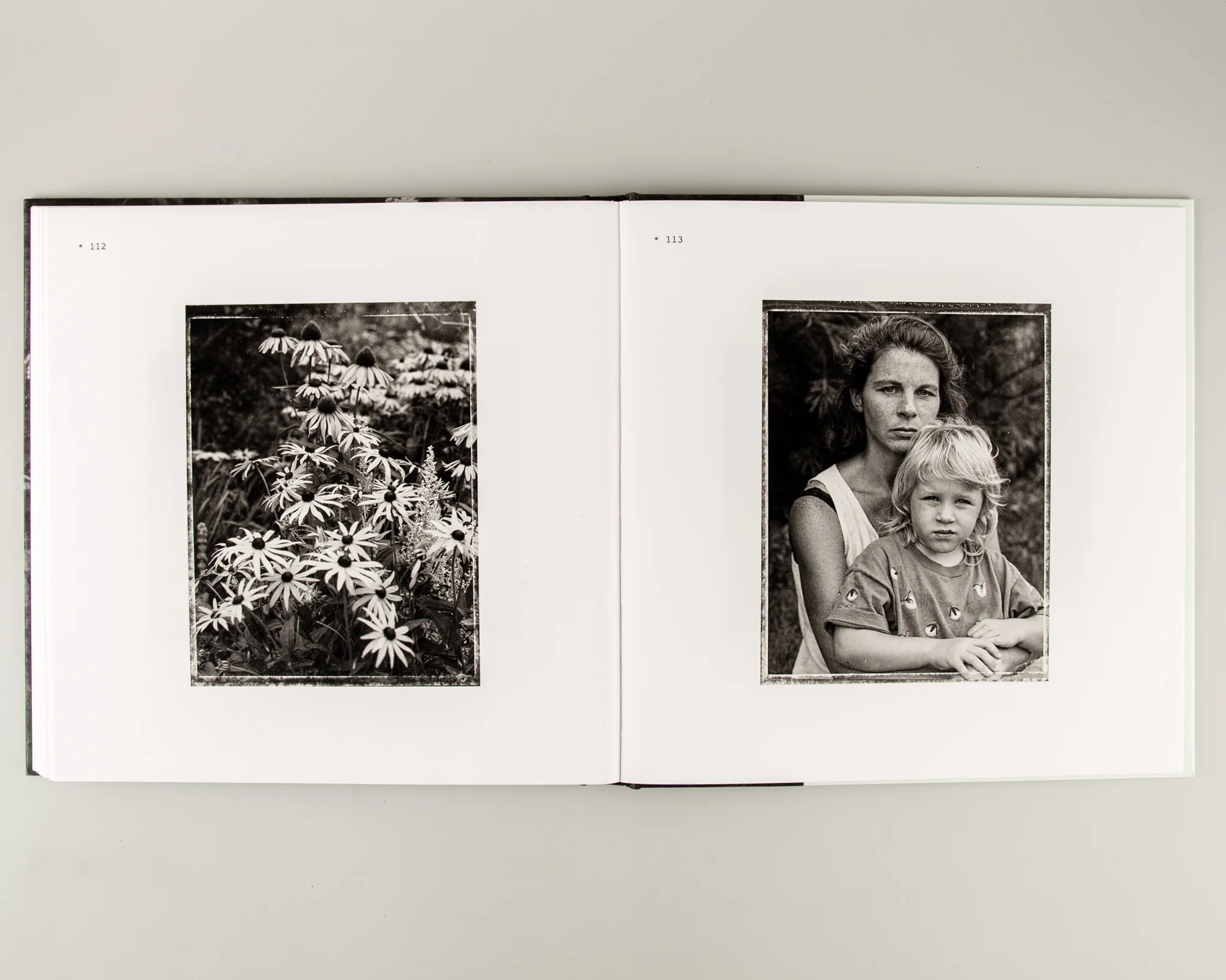 Vacation - Image 10
