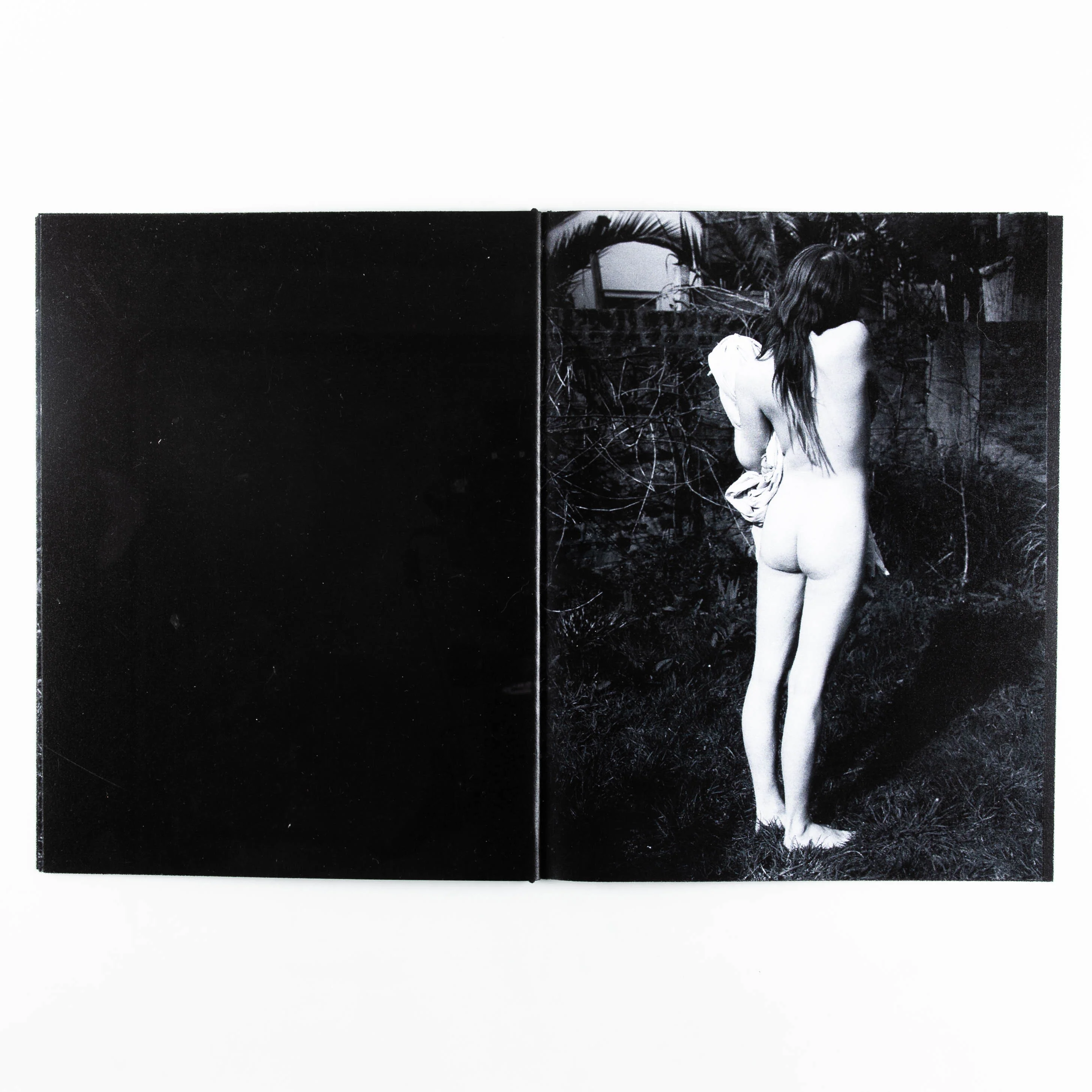 Venus Piece - Image 4