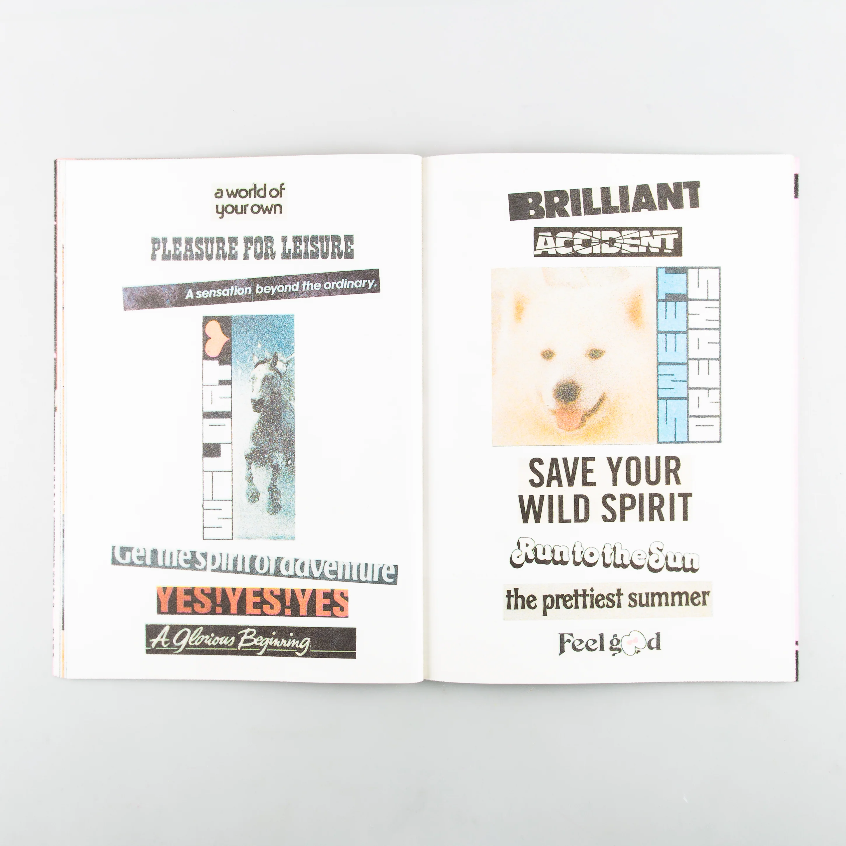 Visual Stimulation - Image 4