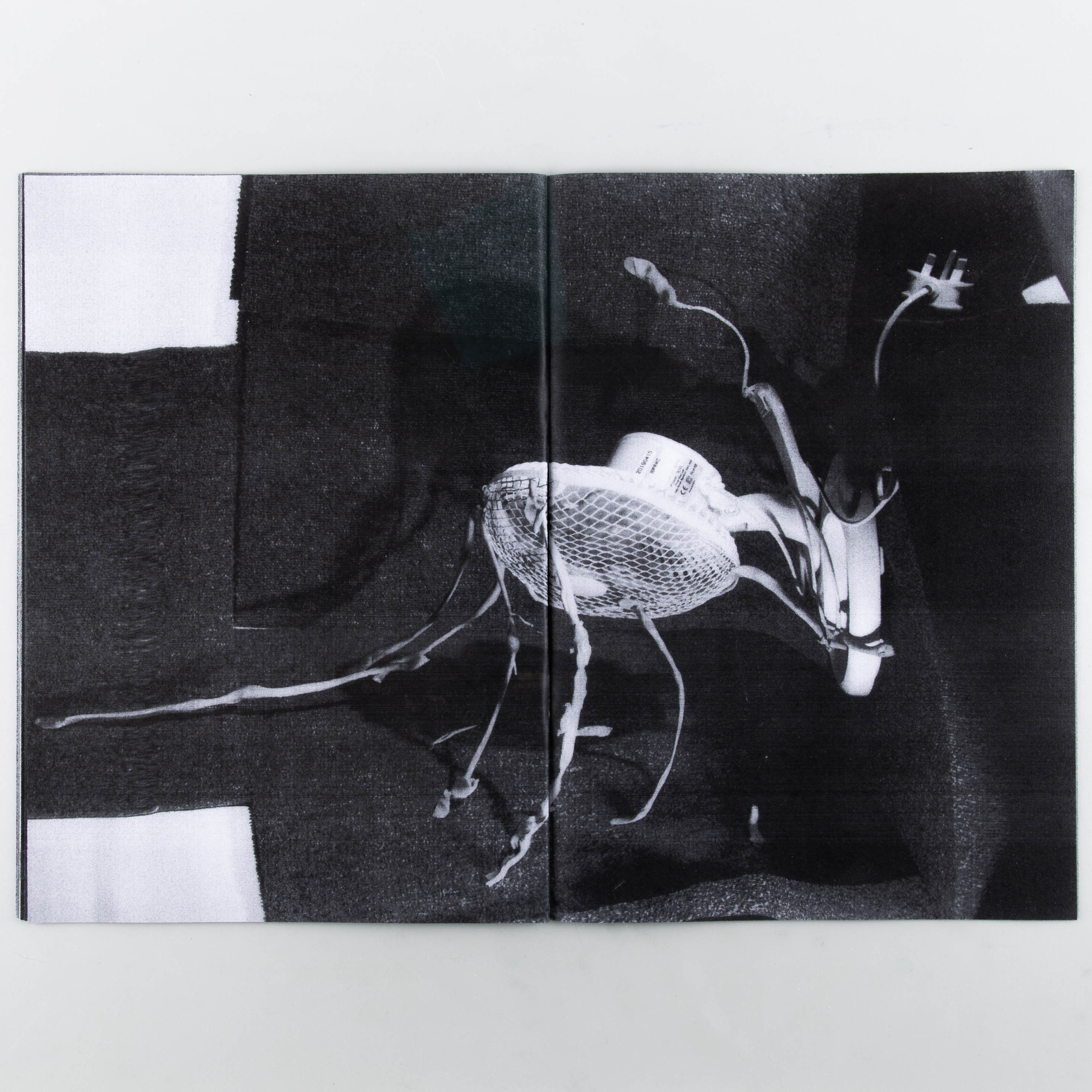 WASTERS - Image 4