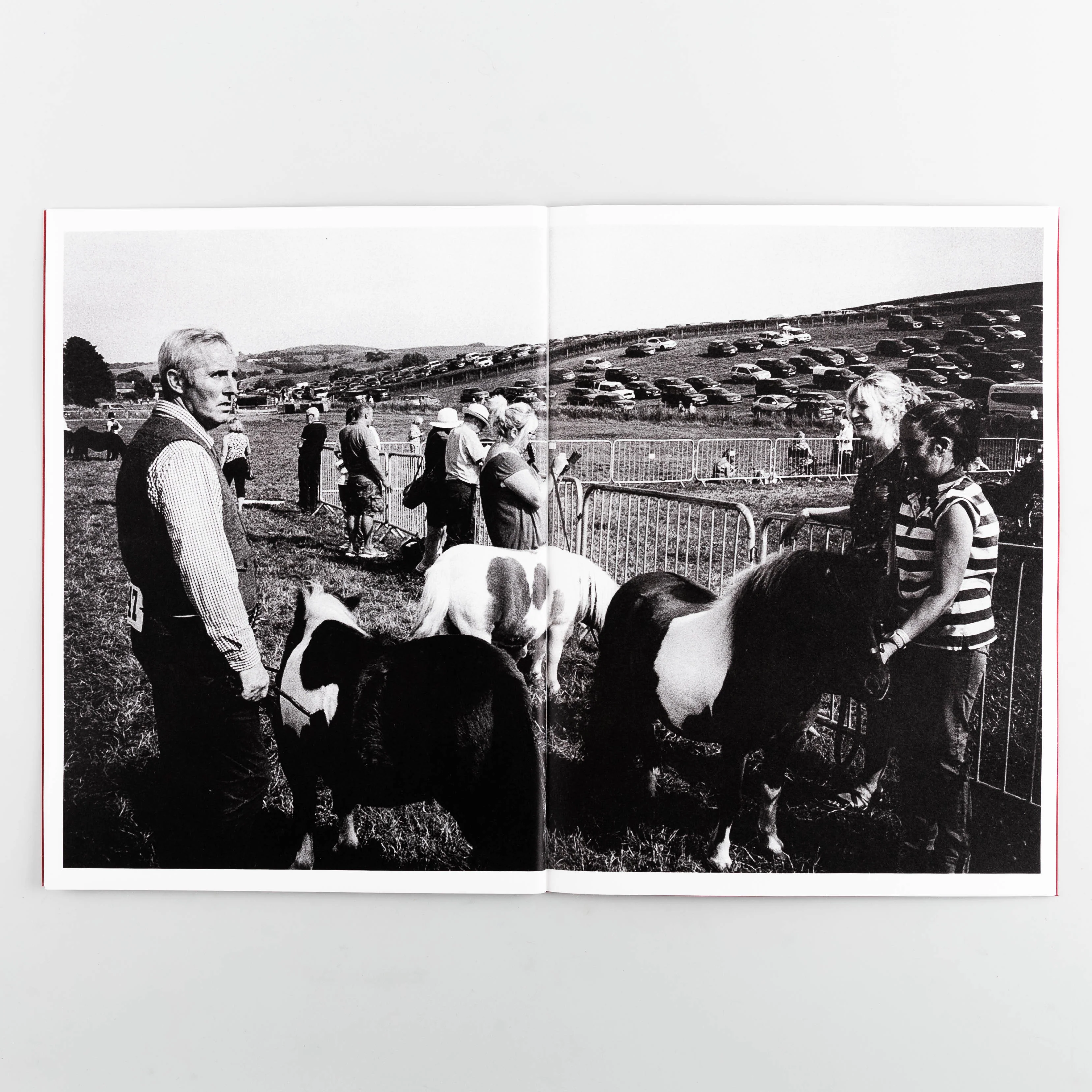 Westmorland County Show - Image 10
