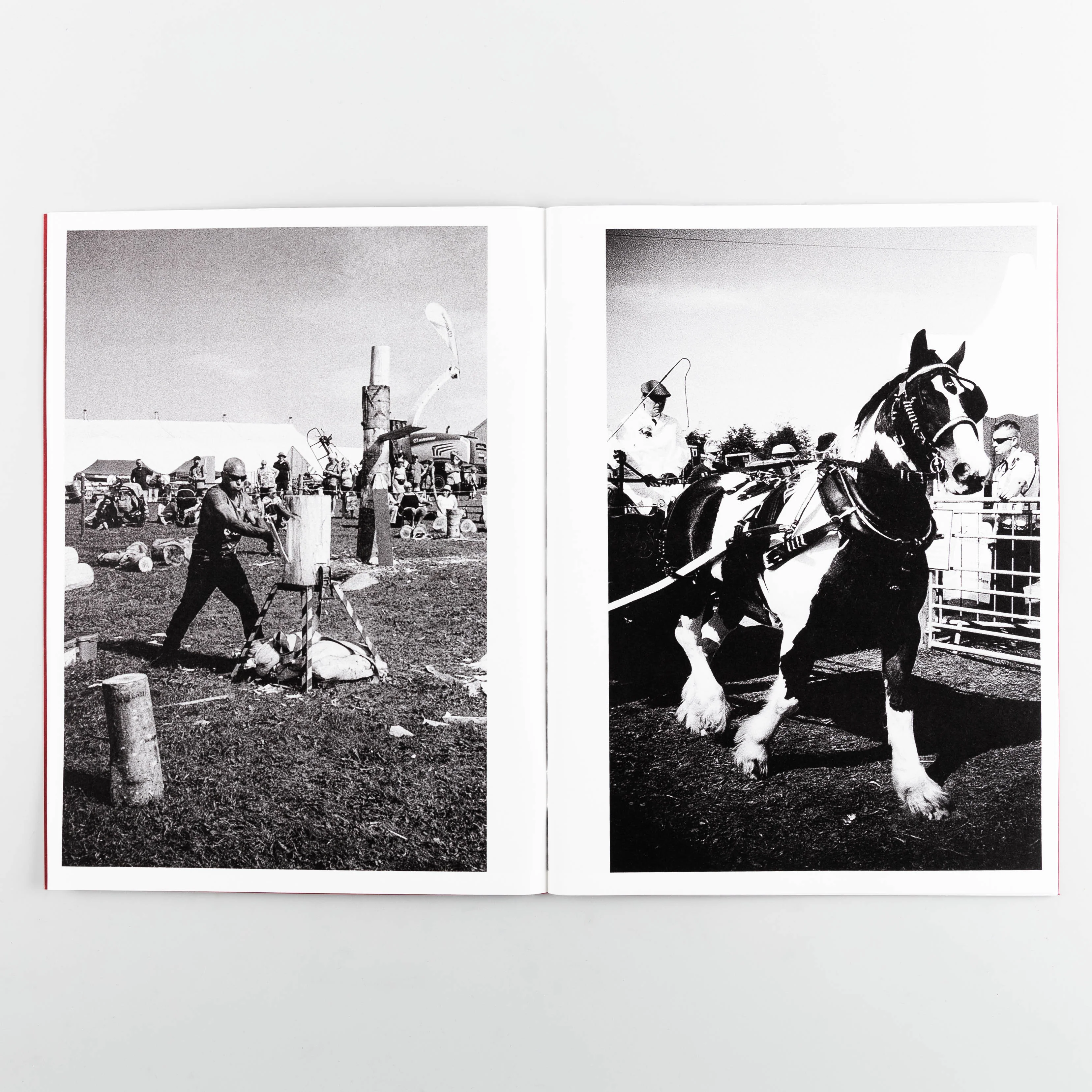 Westmorland County Show - Image 6