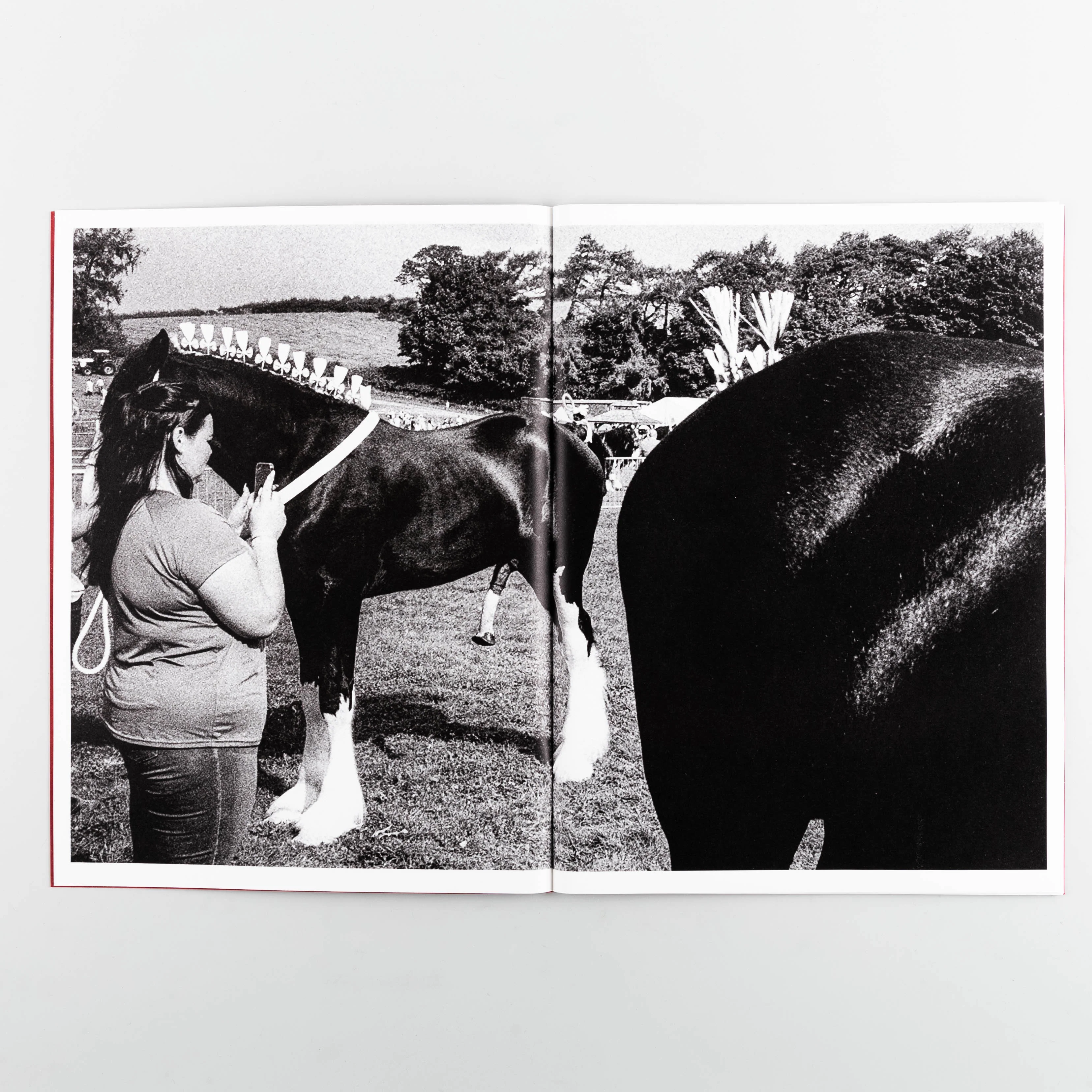 Westmorland County Show - Image 7