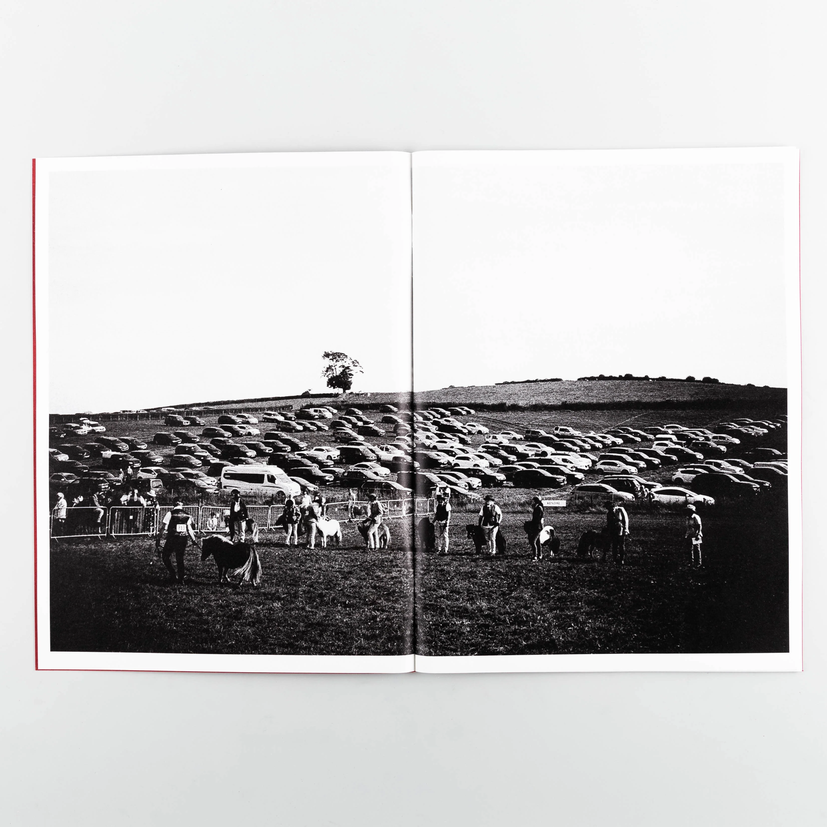 Westmorland County Show - Image 8