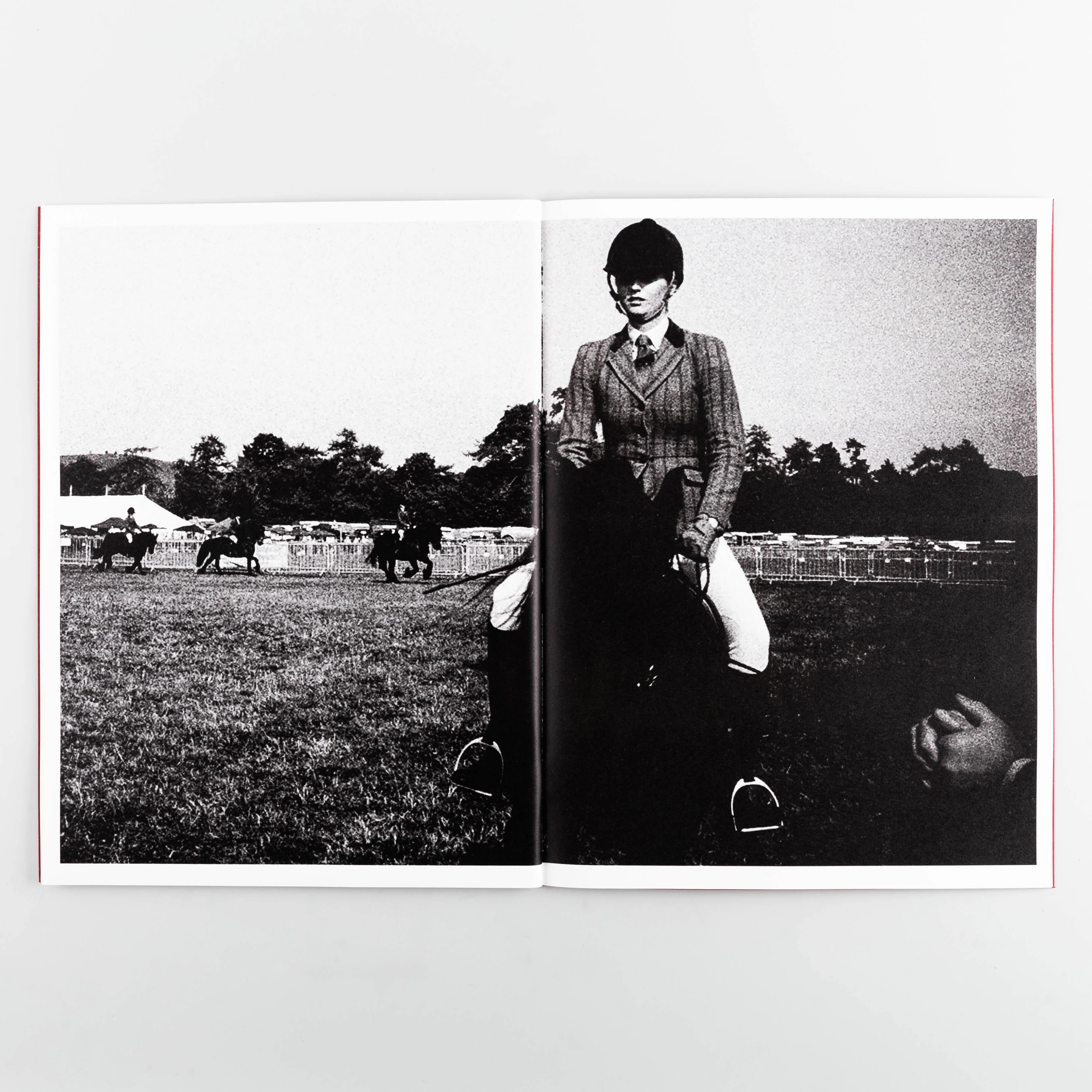 Westmorland County Show - Image 9