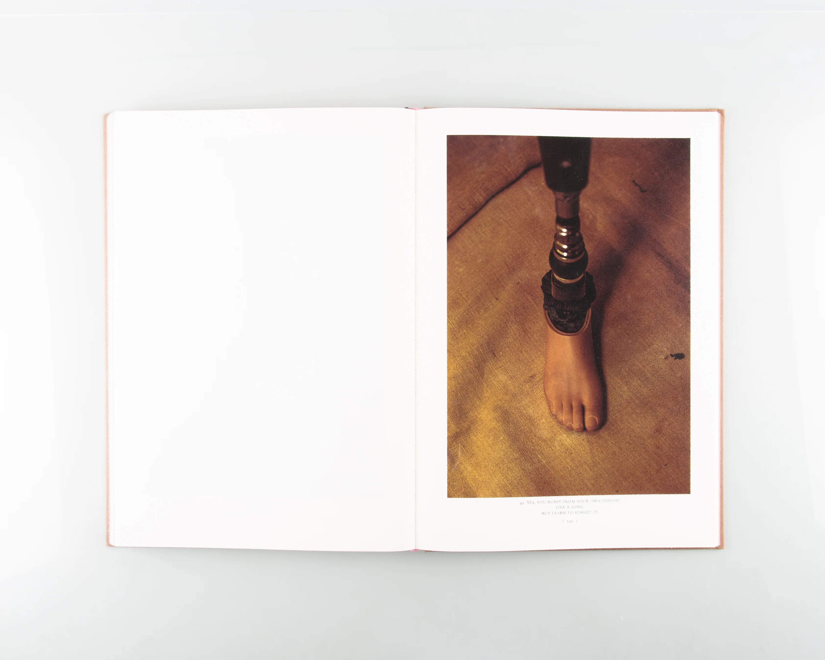 WET PAINT - Image 8