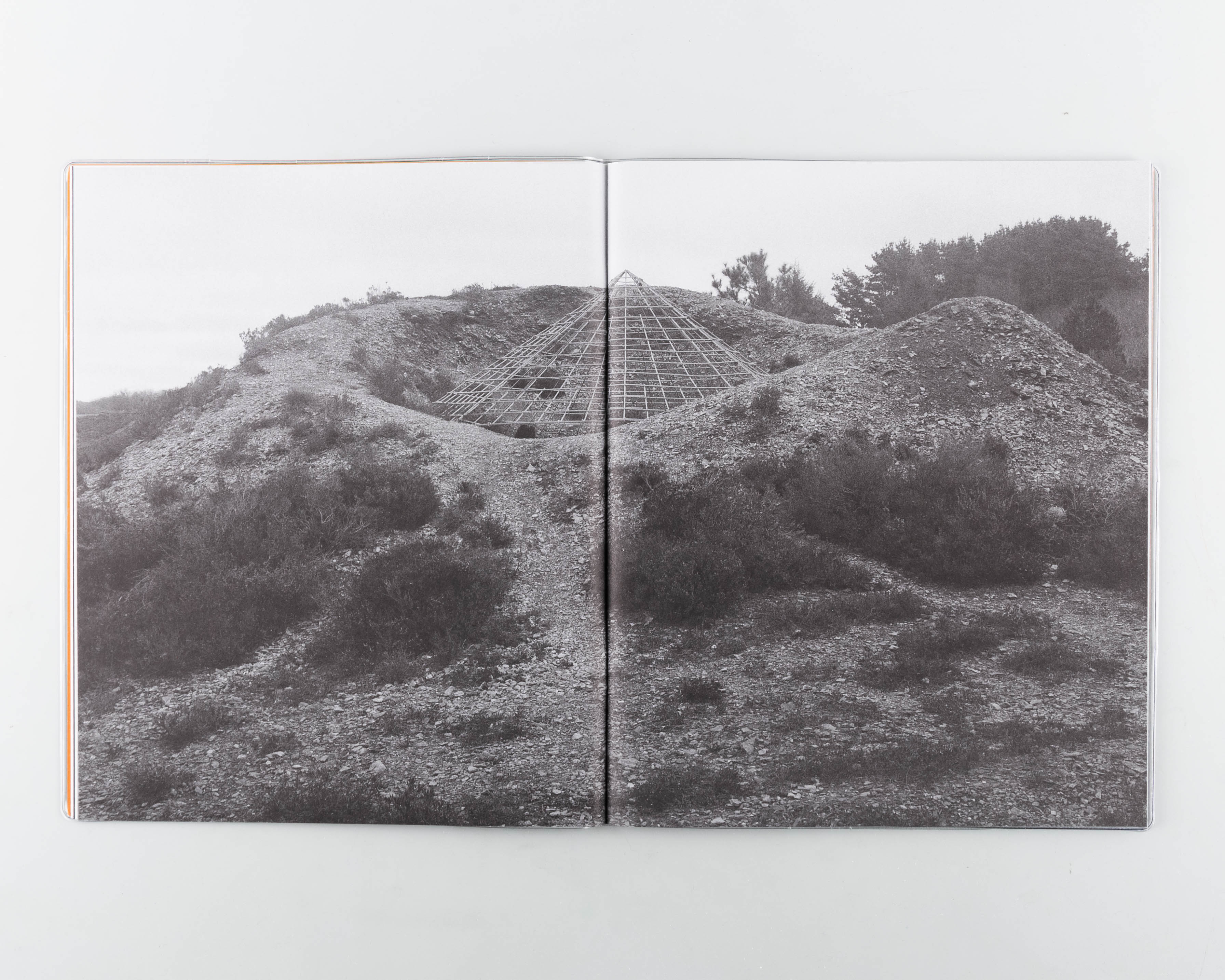 Wheal - Image 3