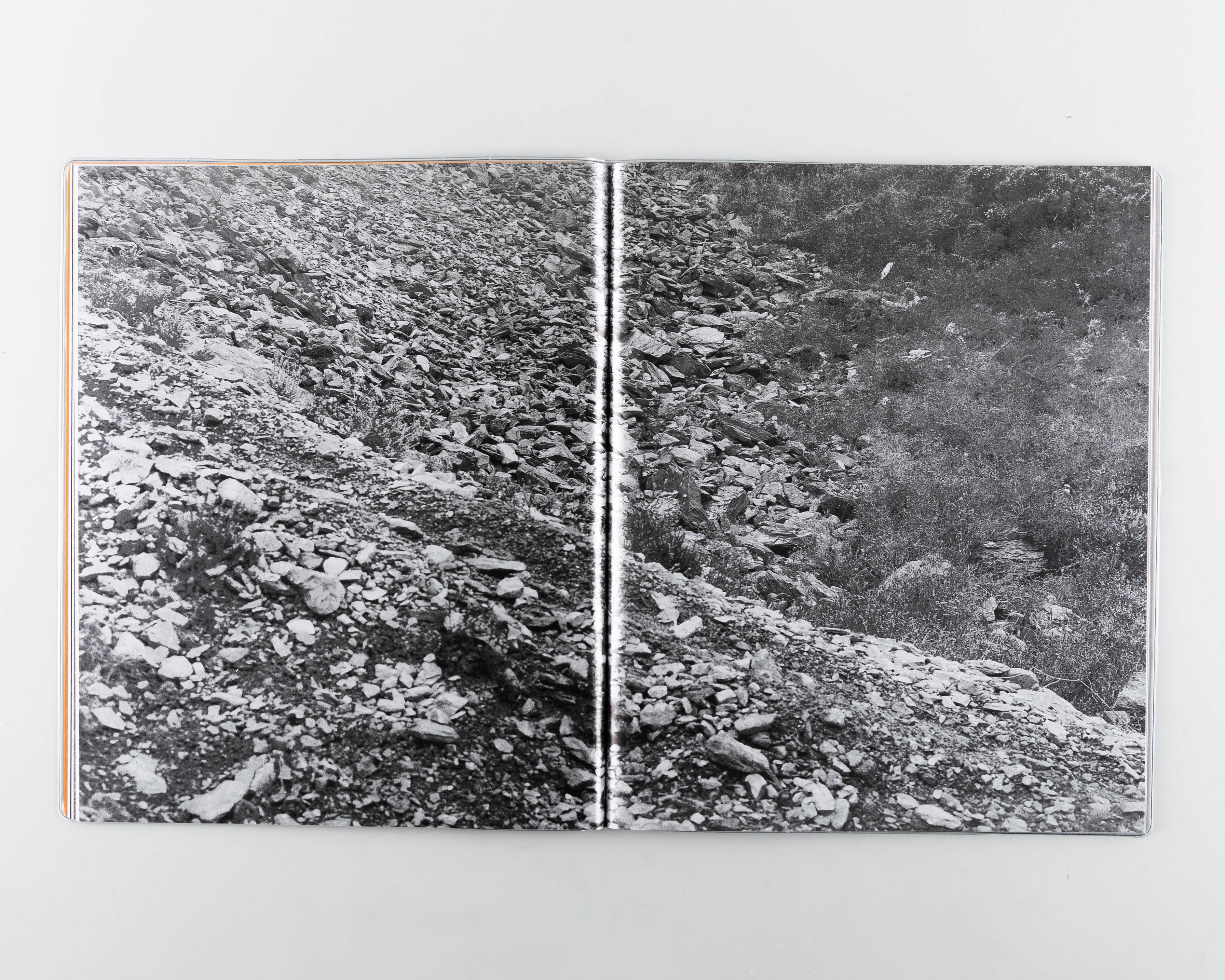 Wheal - Image 4