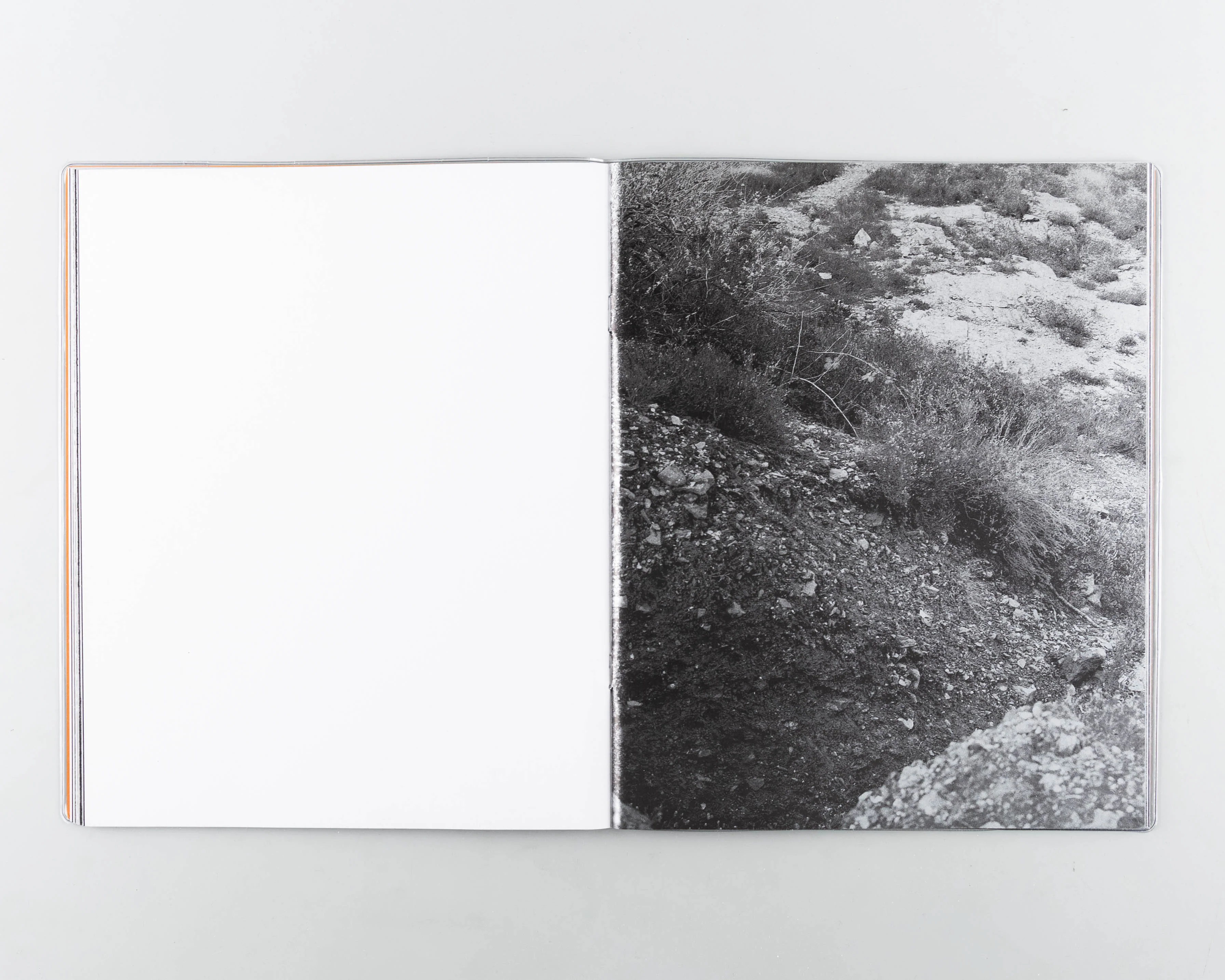 Wheal - Image 5