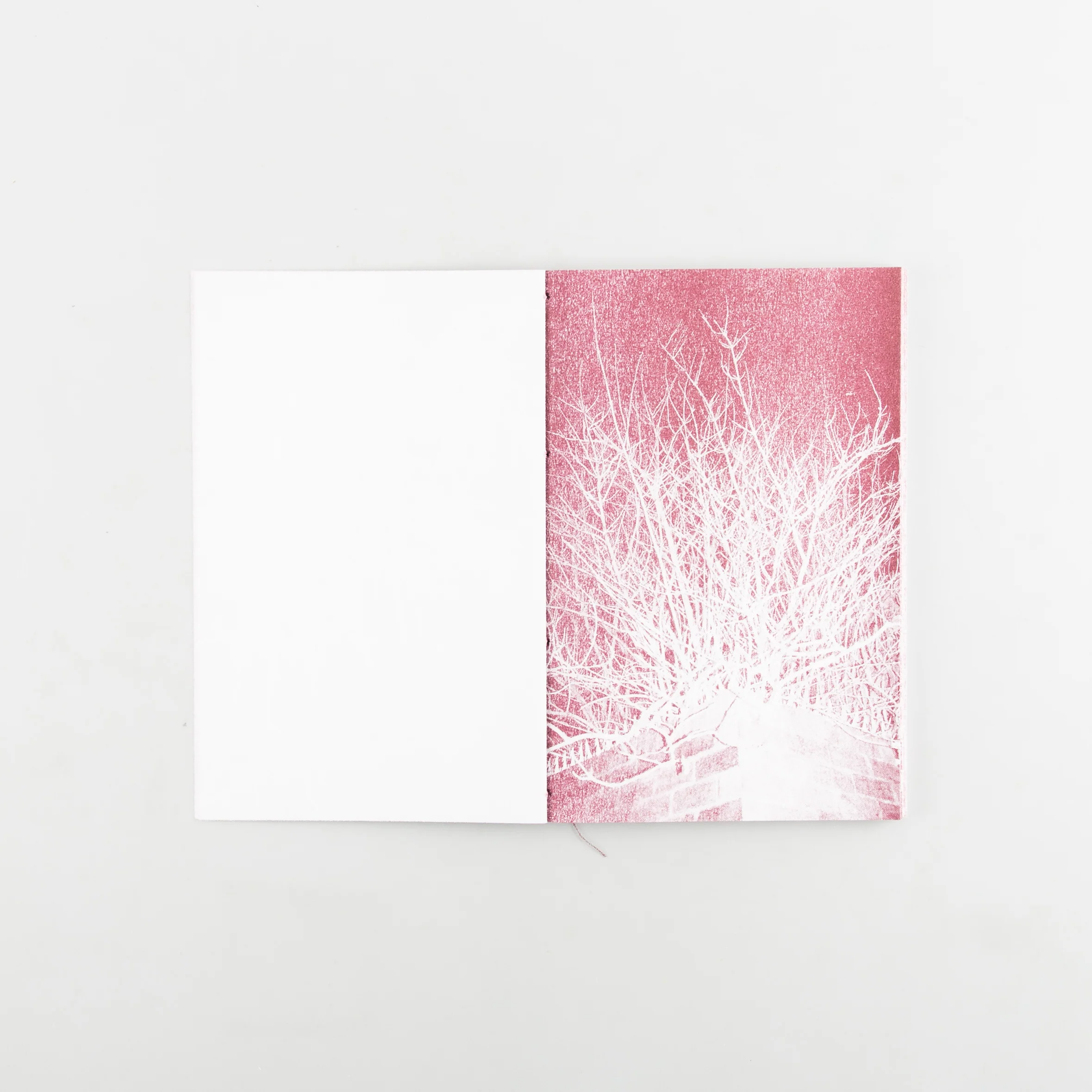 WHEN THE SUN AND LEAVES HAVE FALLEN - Image 2