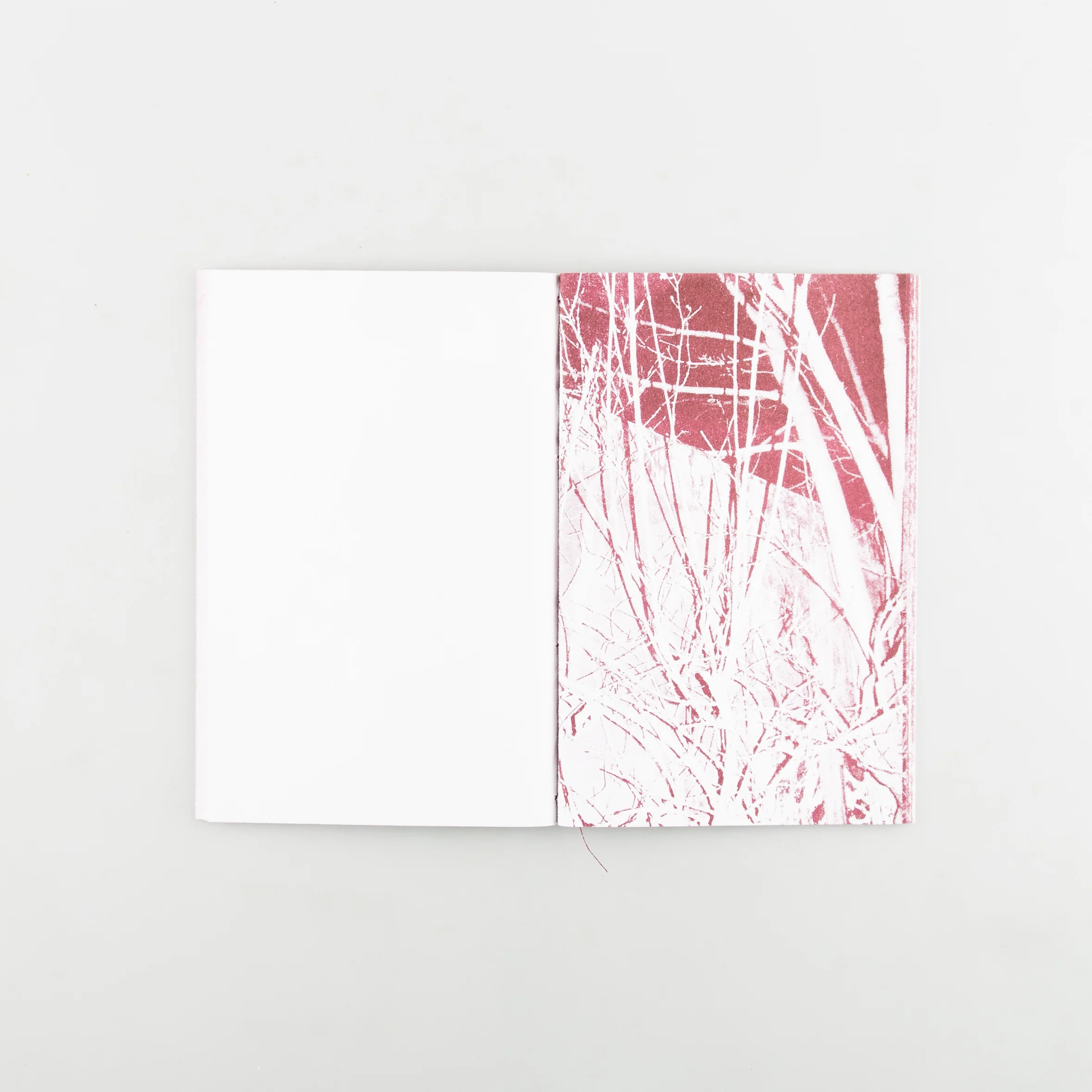 WHEN THE SUN AND LEAVES HAVE FALLEN - Image 5