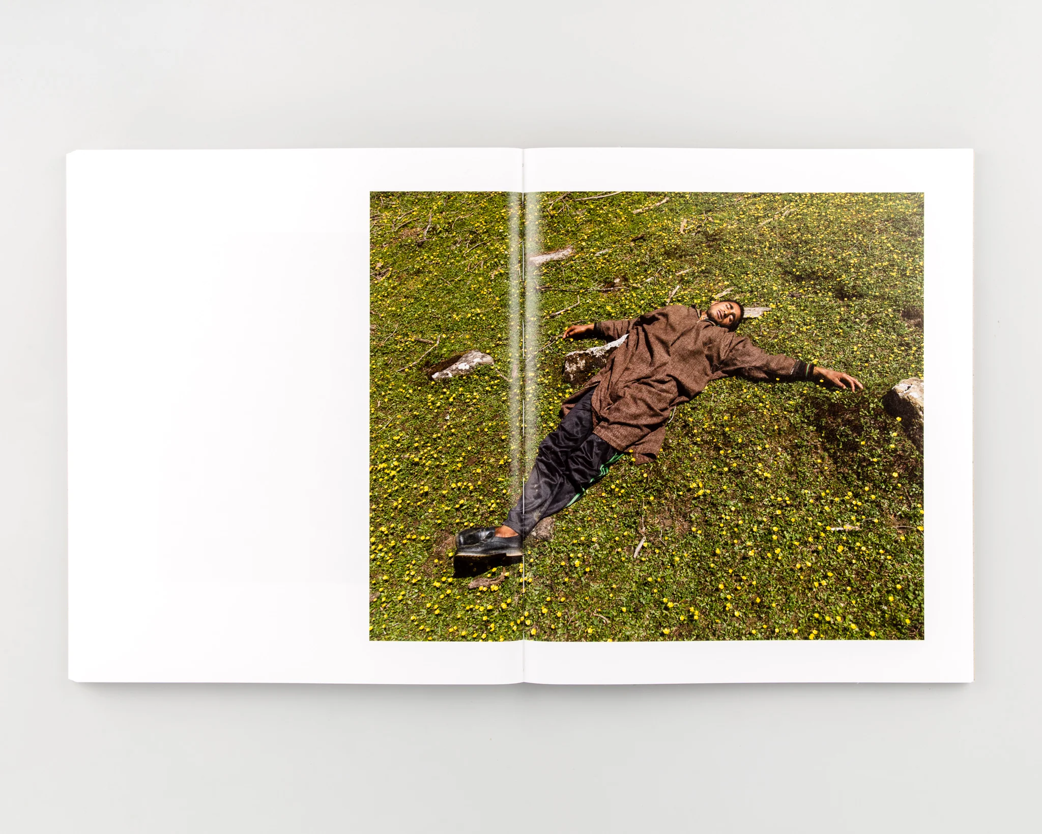 Where The Flowers Still Grow - Image 11