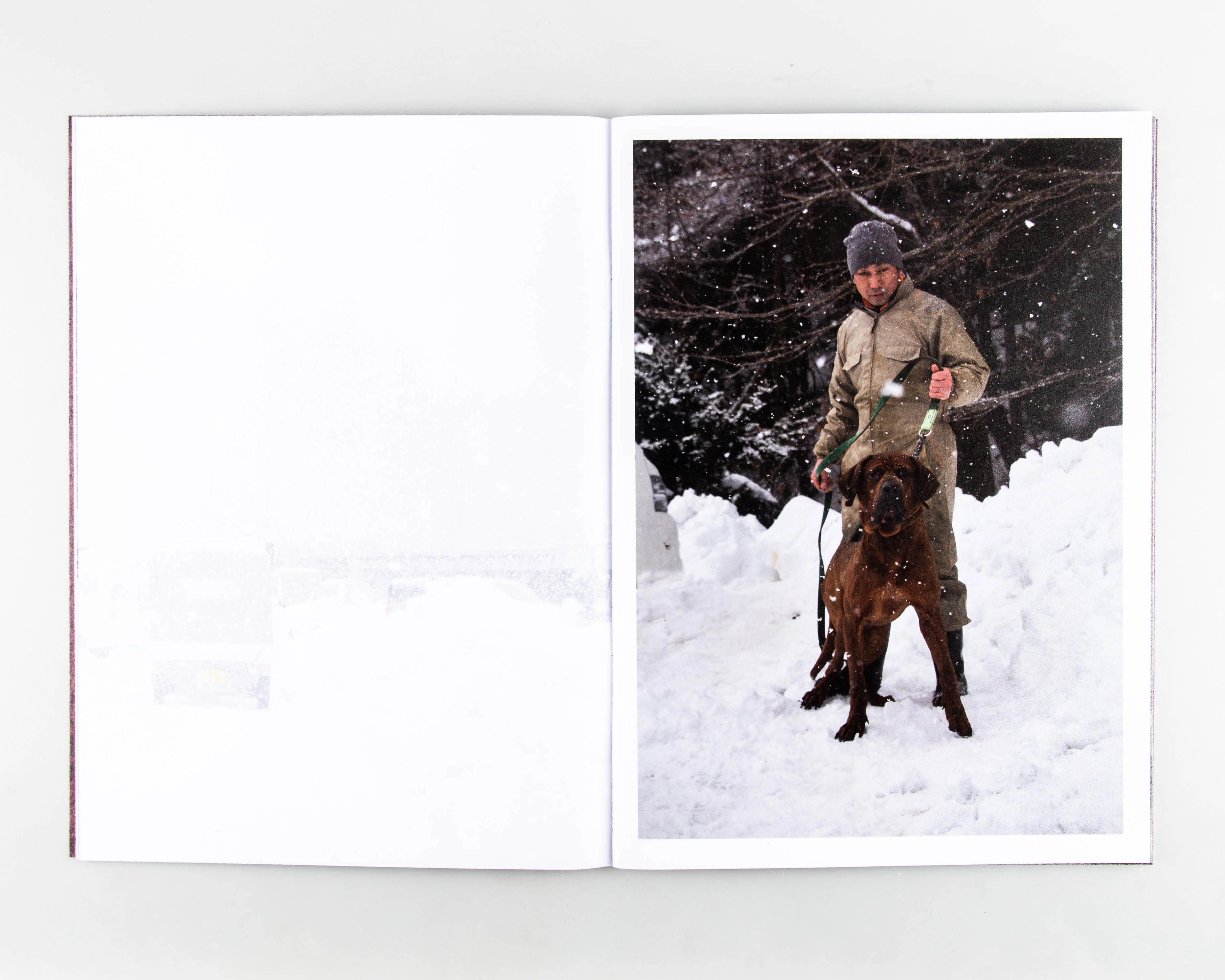 White Fang - Image 2