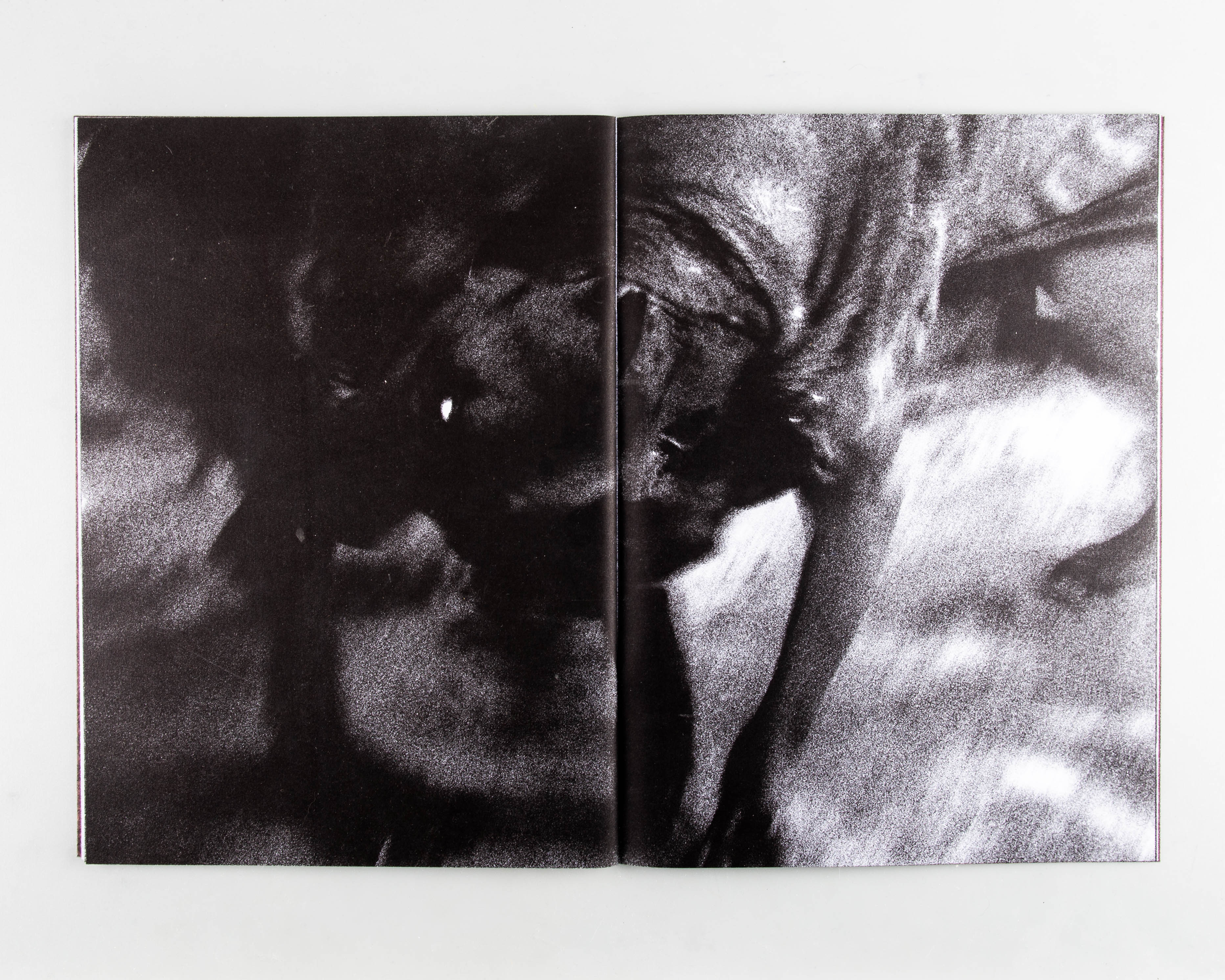 White Fang - Image 3