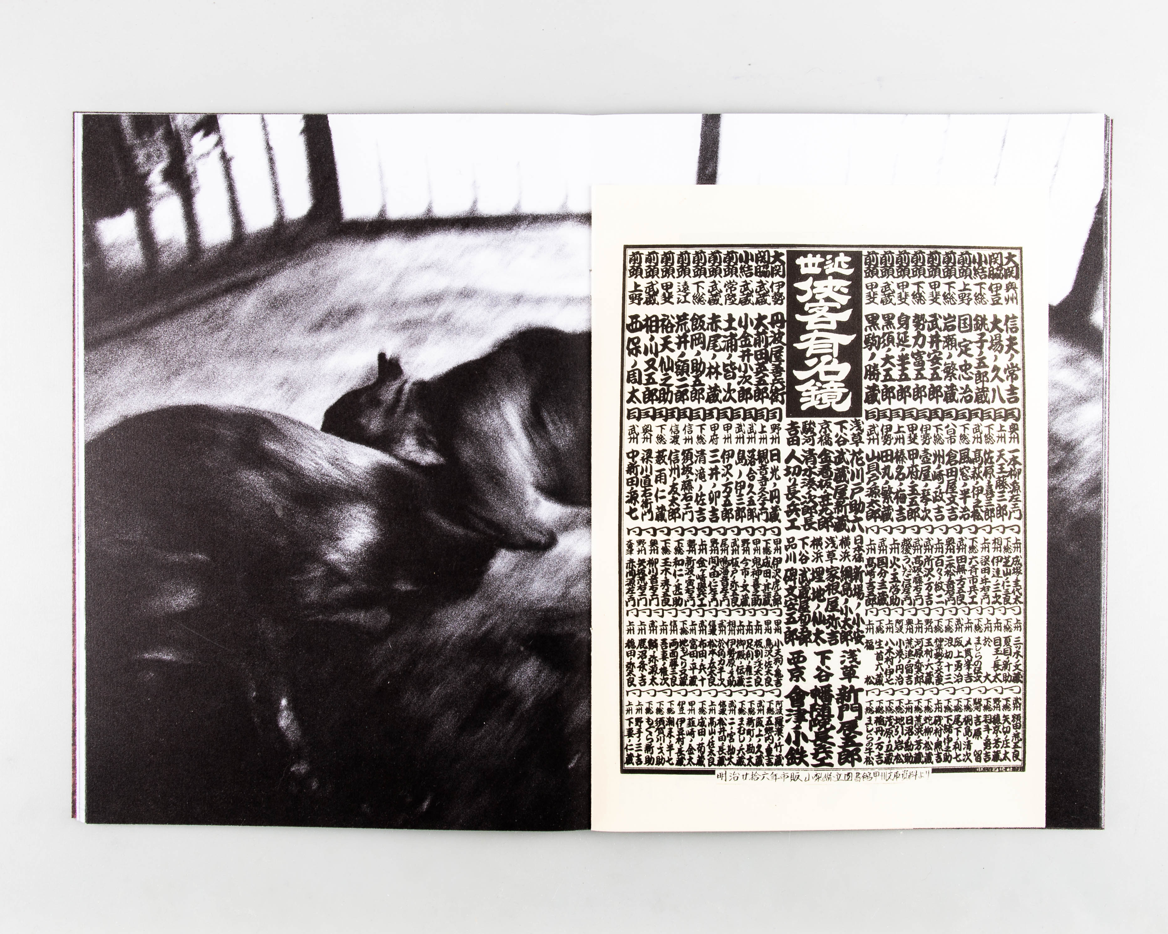 White Fang - Image 6