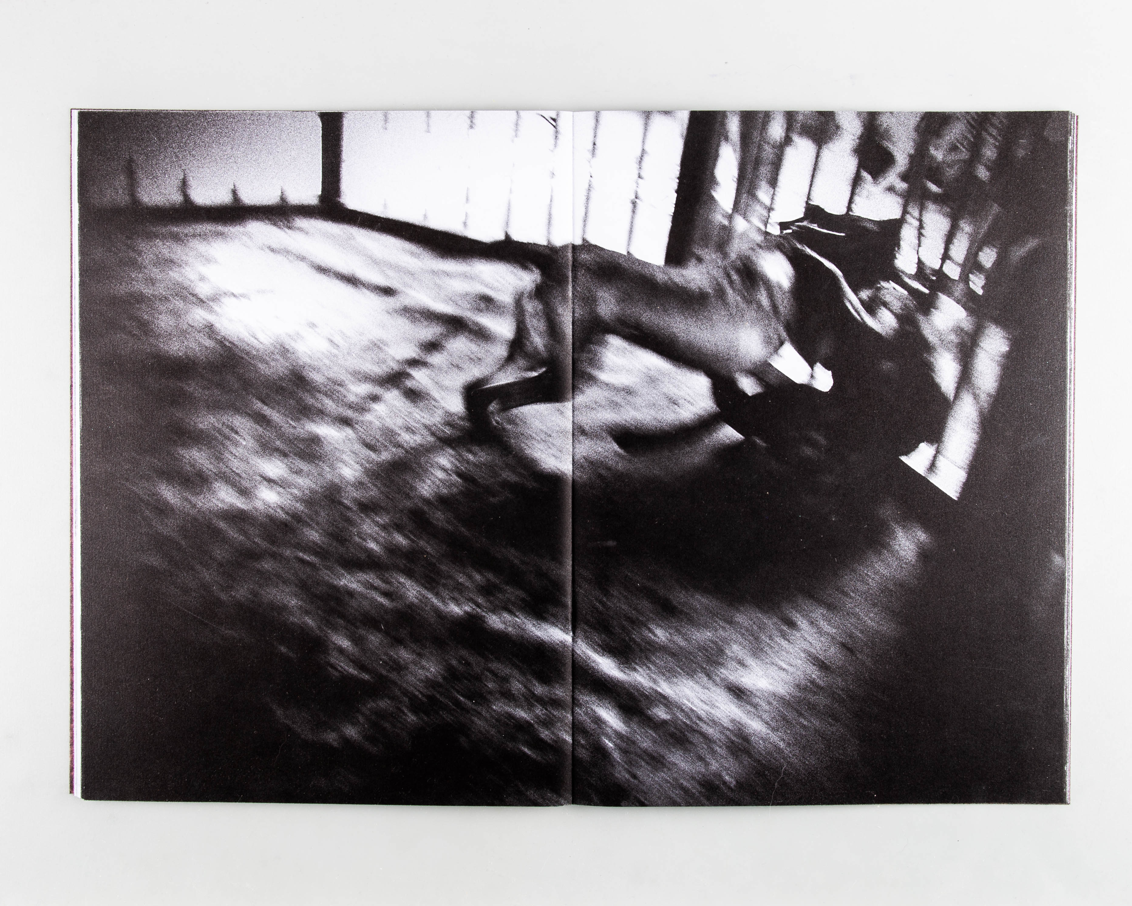 White Fang - Image 8