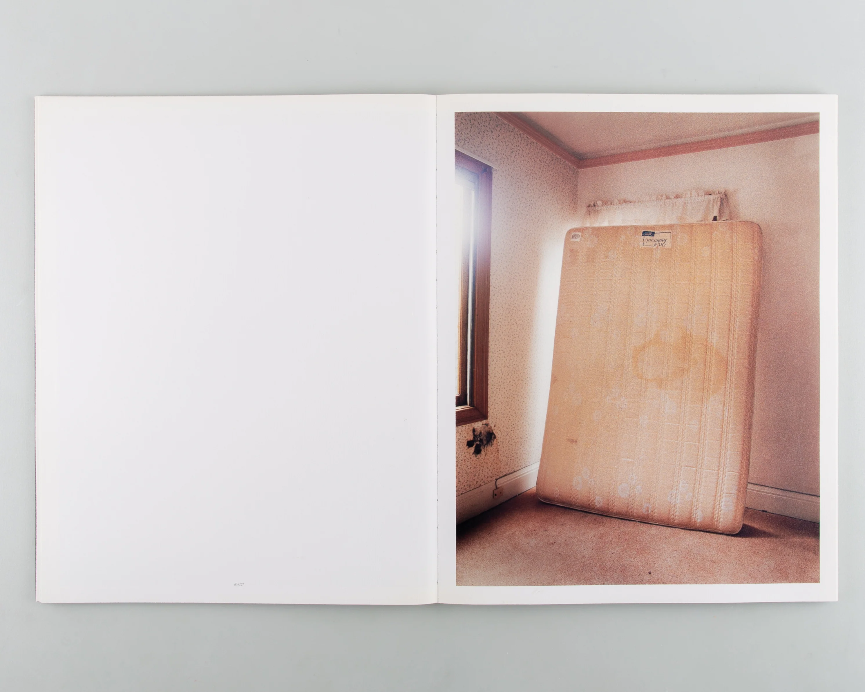 Witness Number Seven - Image 2