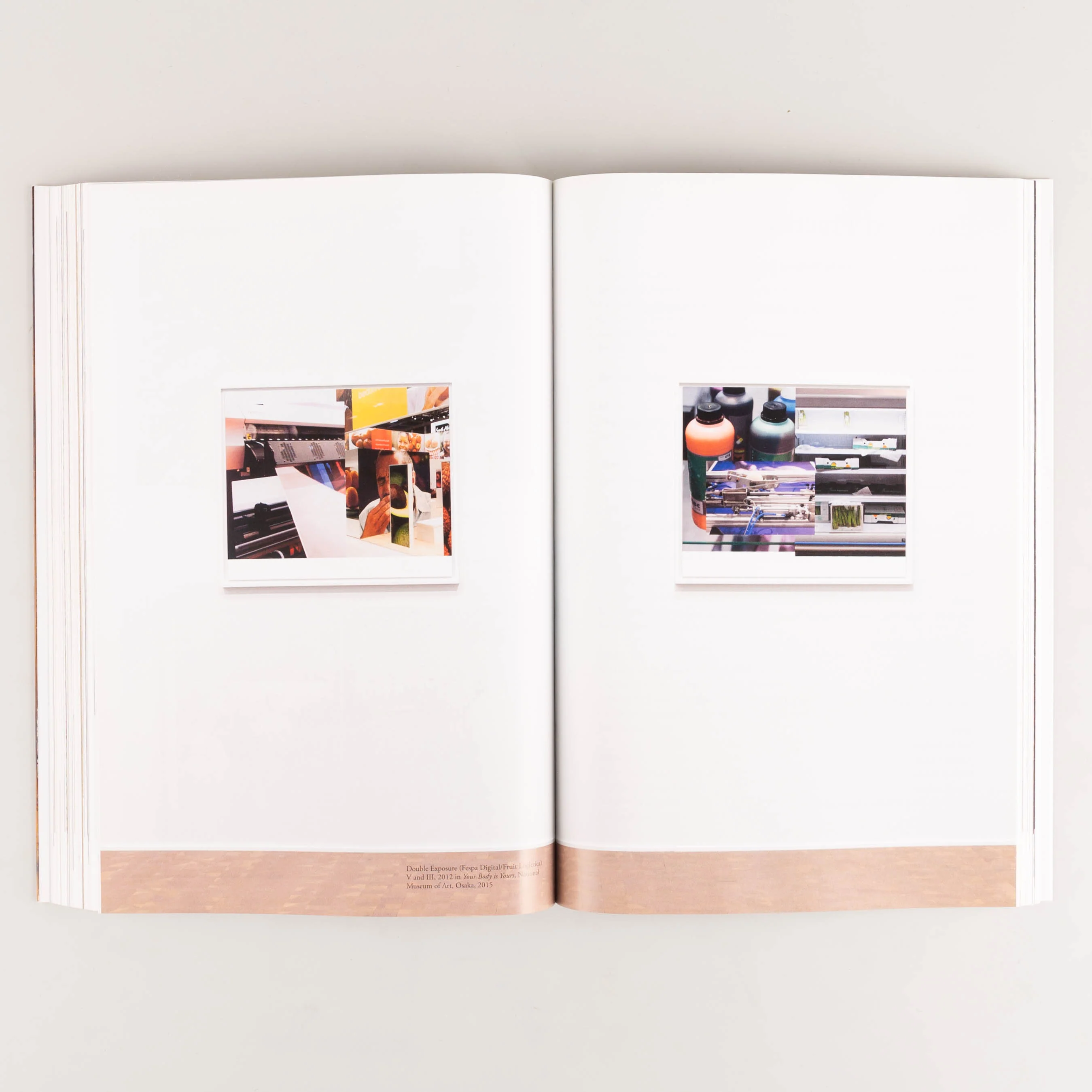 Wolfgang Tillmans: 2017 - Image 8