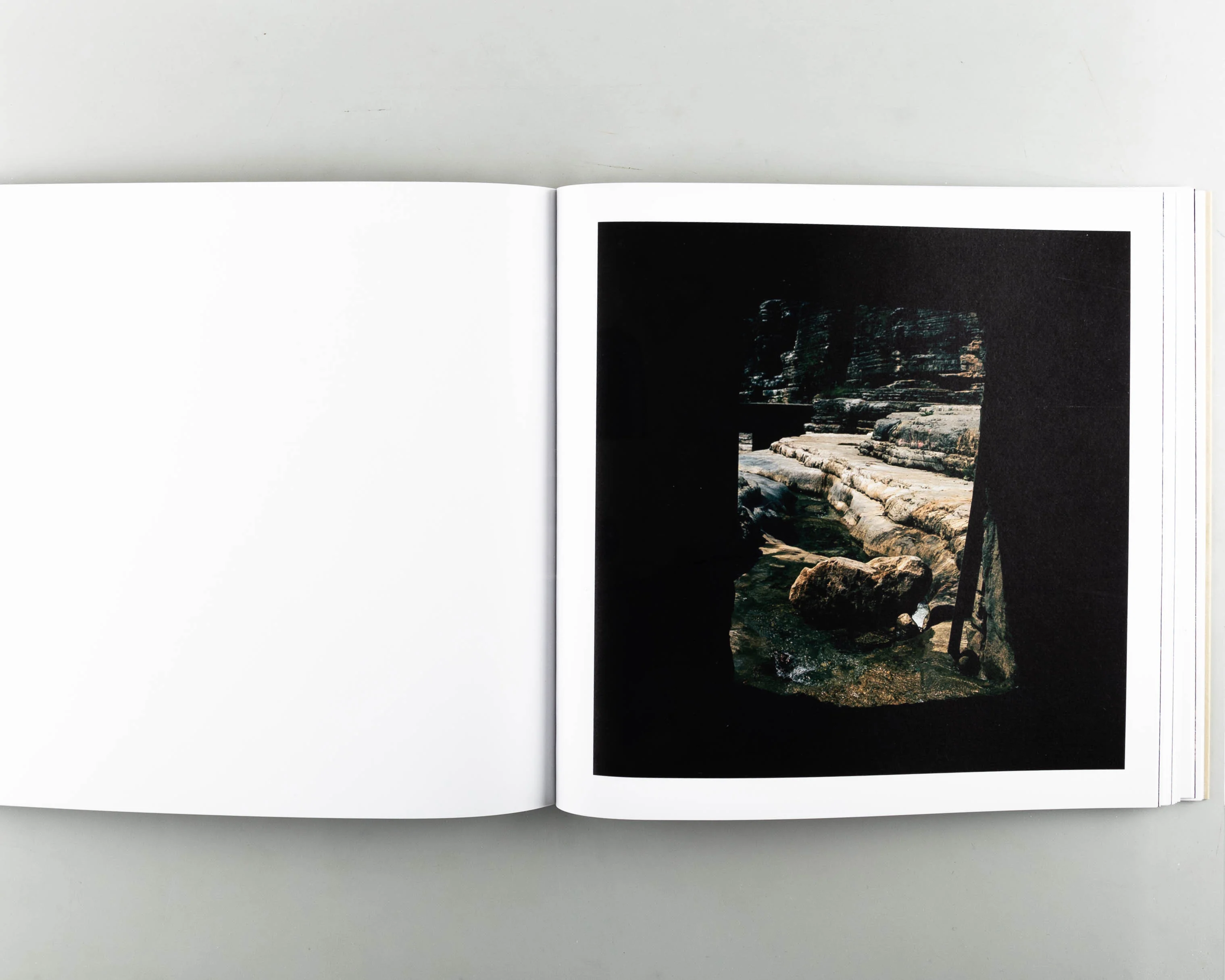 Xenitia - Image 5