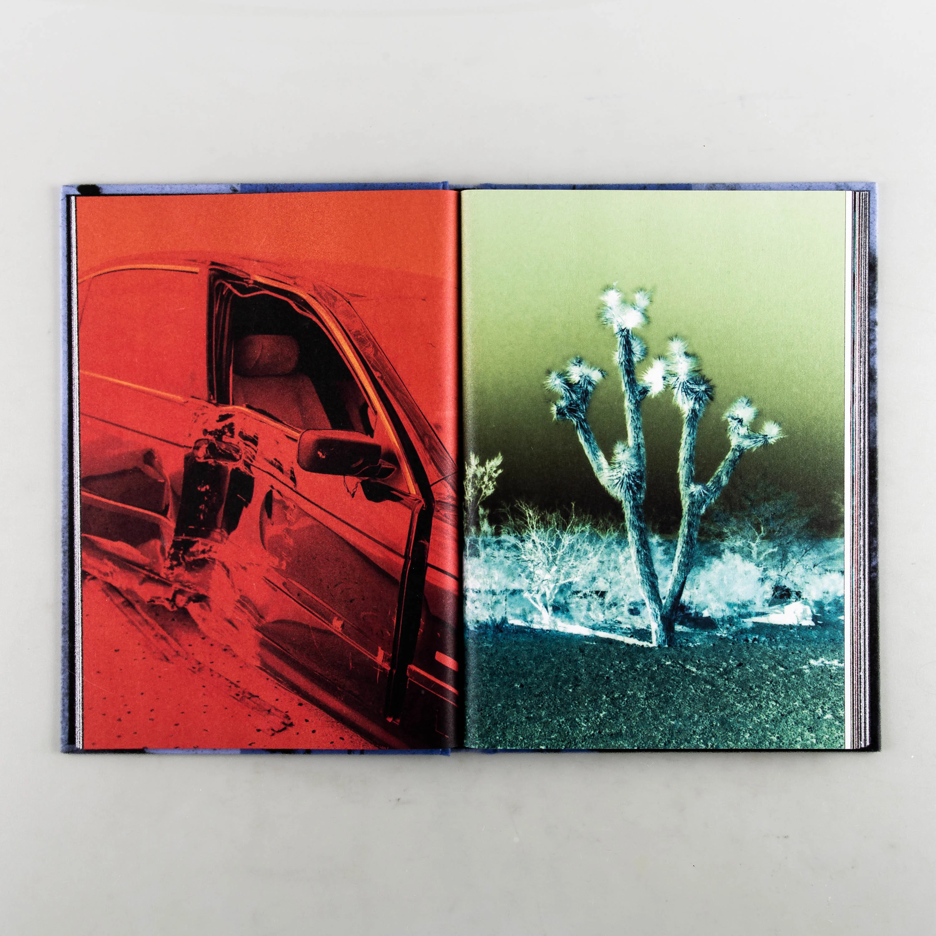Yugen - Image 2