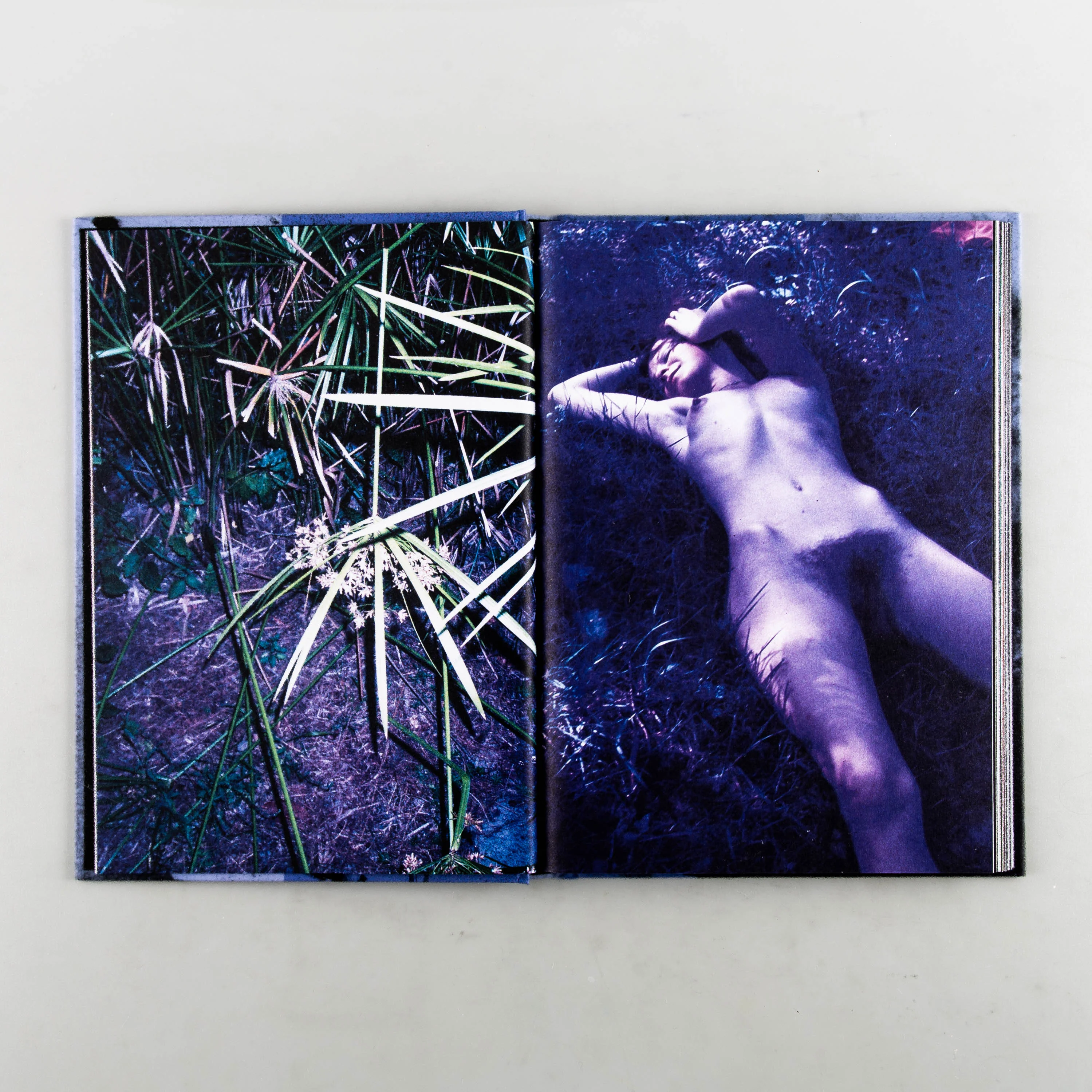 Yugen - Image 4