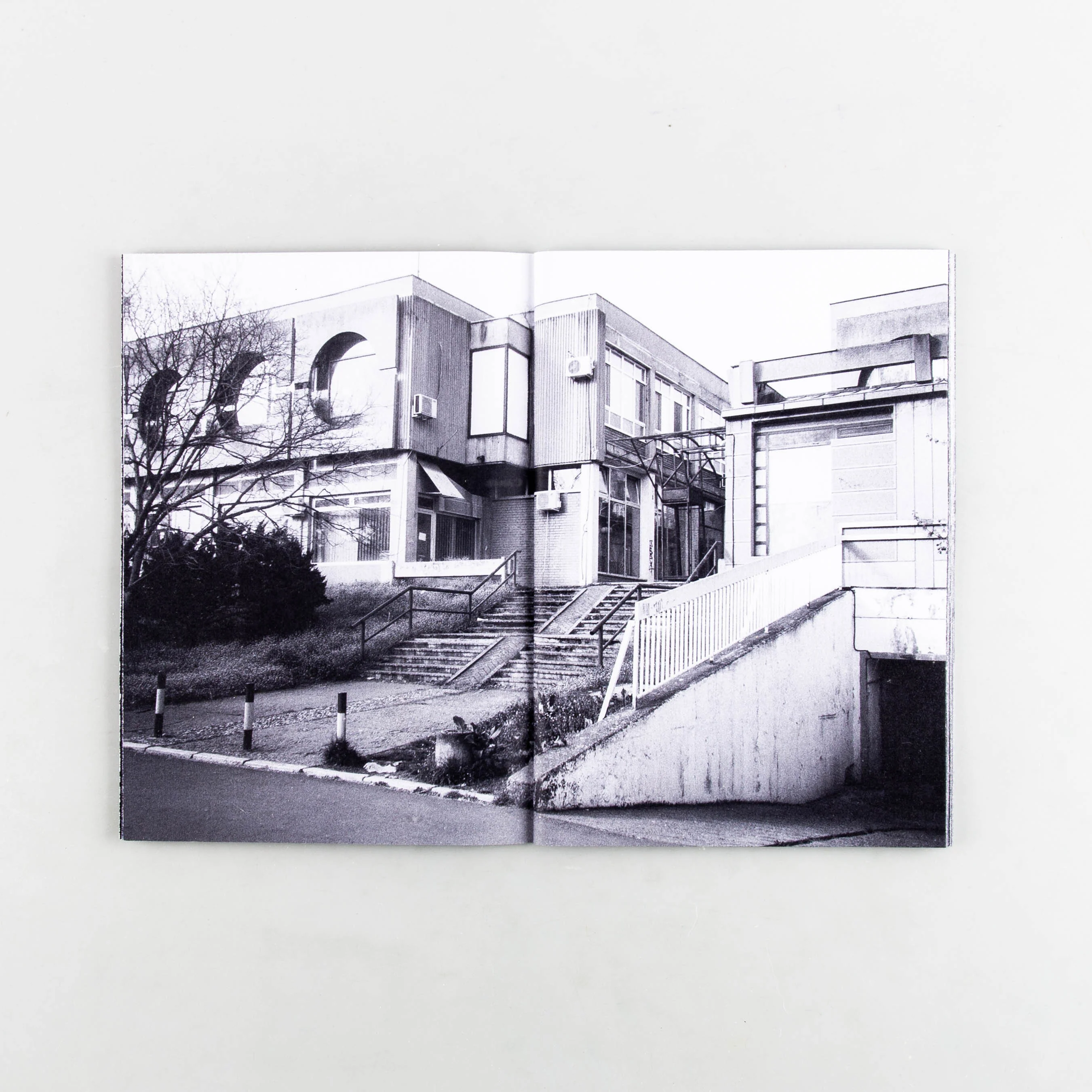 Živelli - Image 4