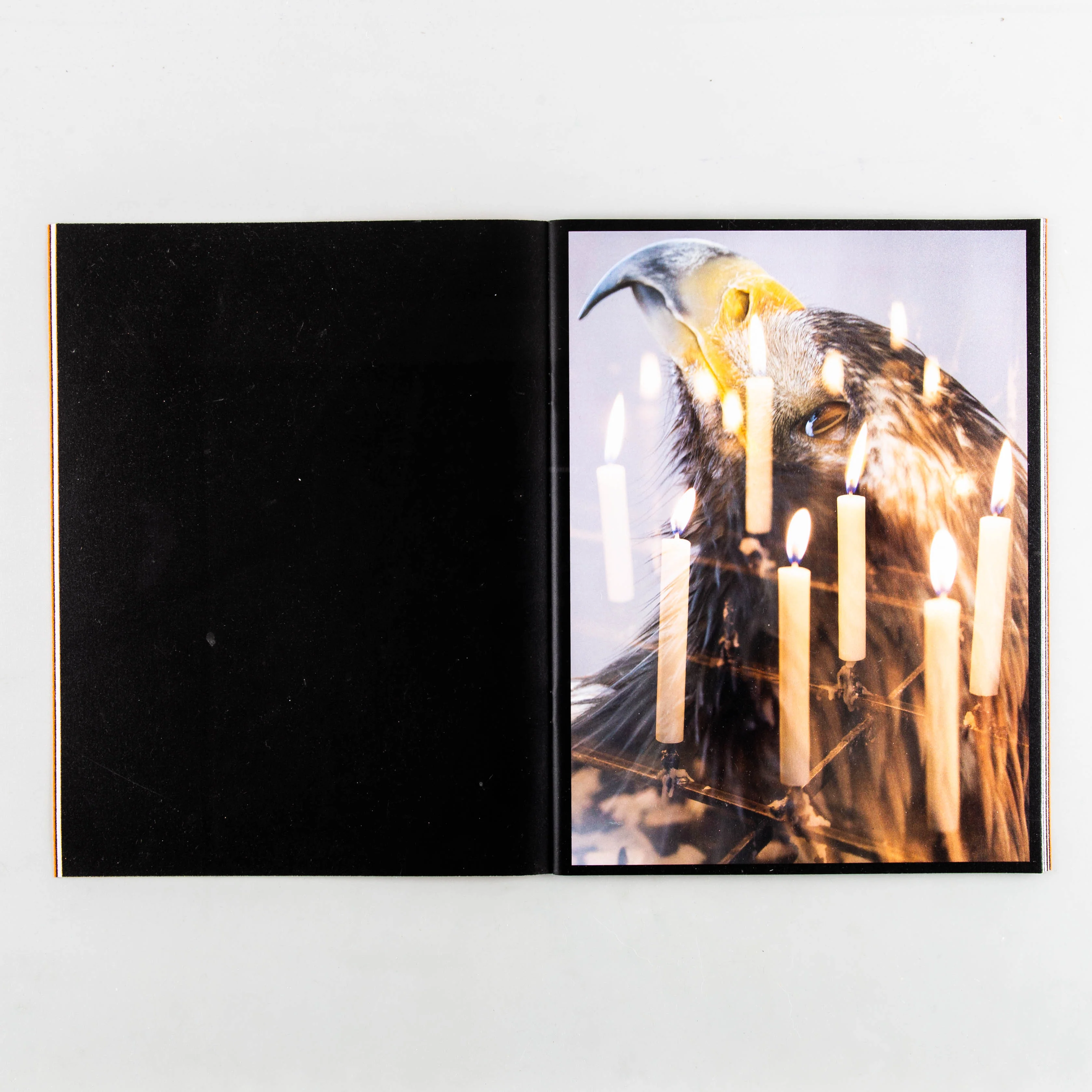 ZONE - Image 3