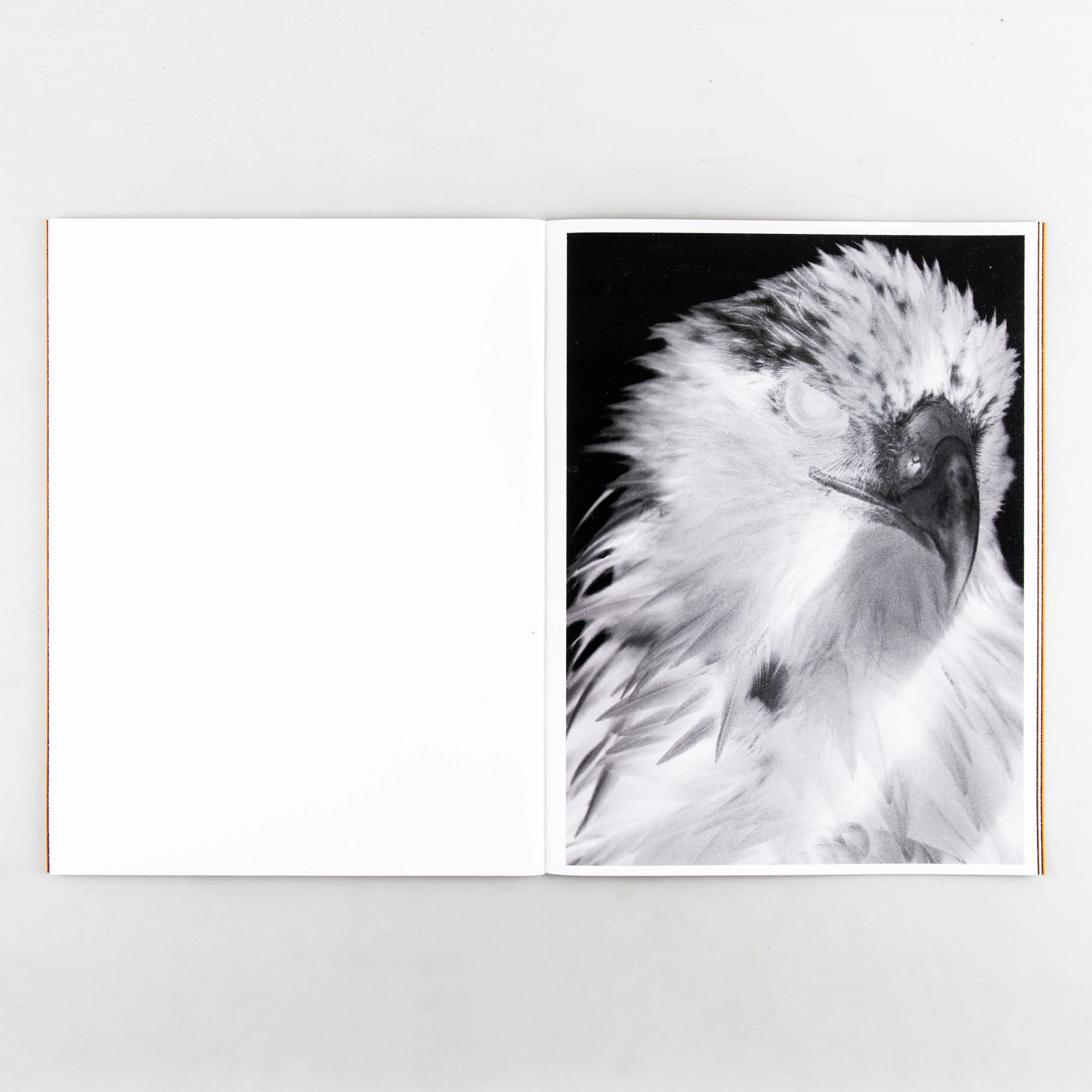 ZONE - Image 7
